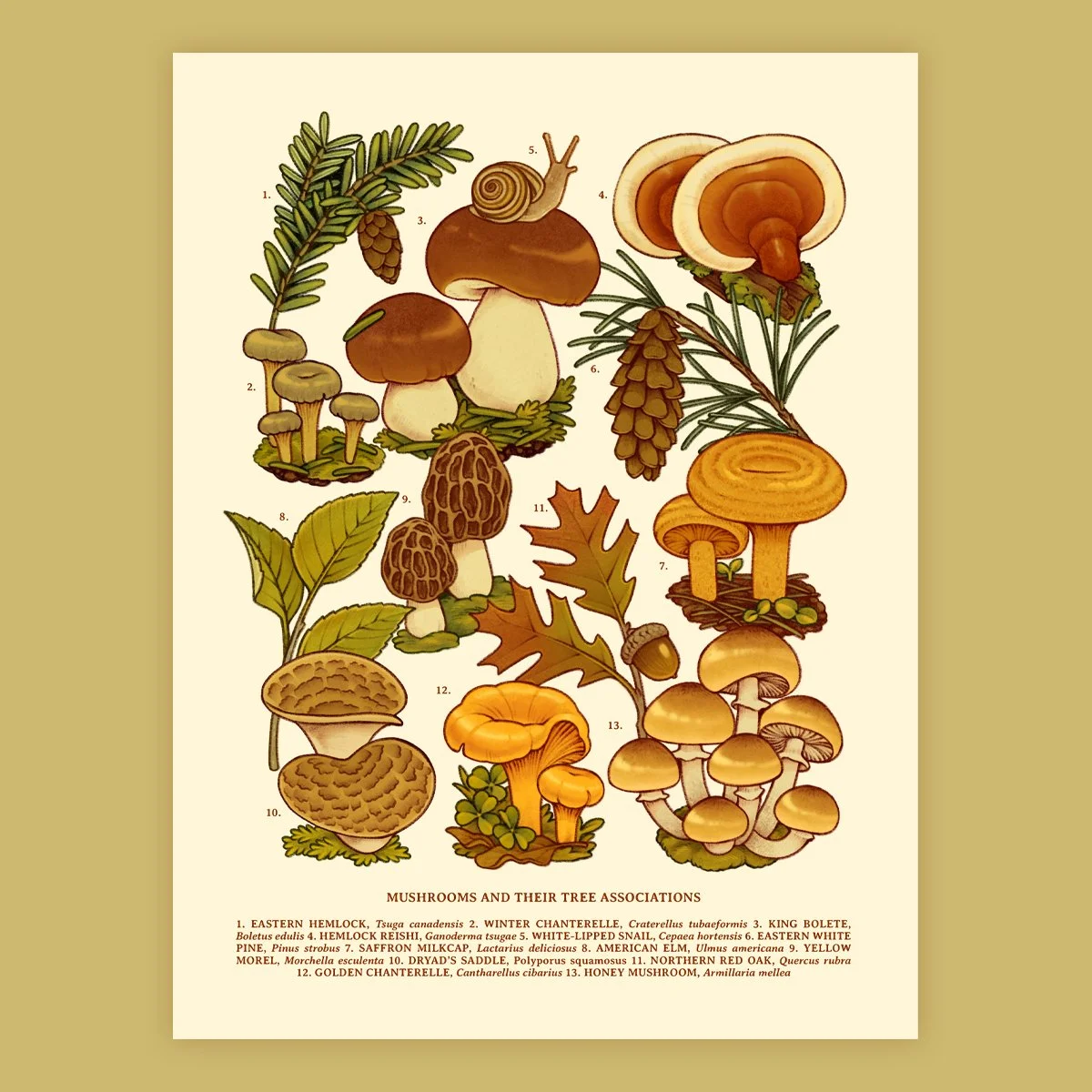 mushrooms and trees print.jpg