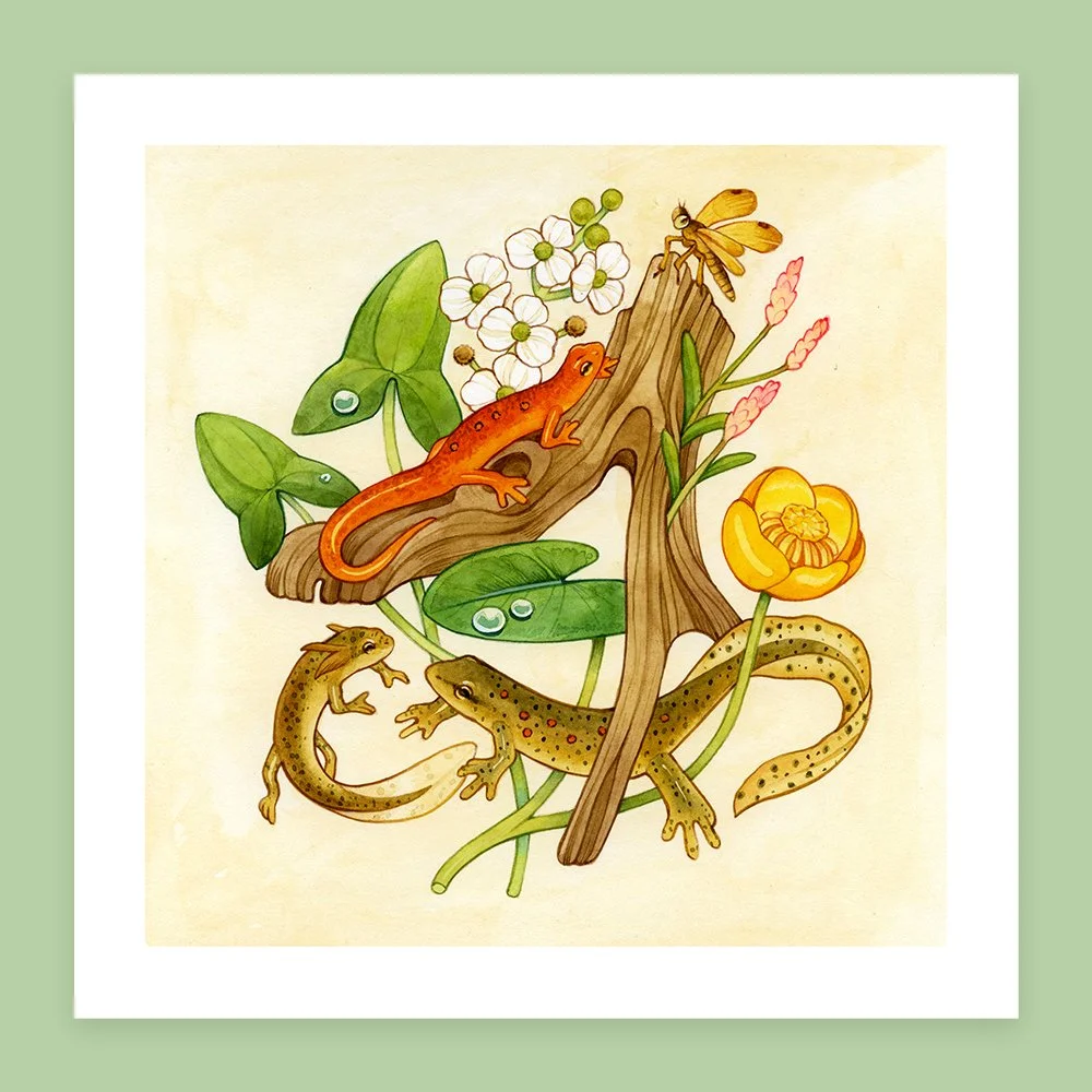 return to home waters pic.jpg