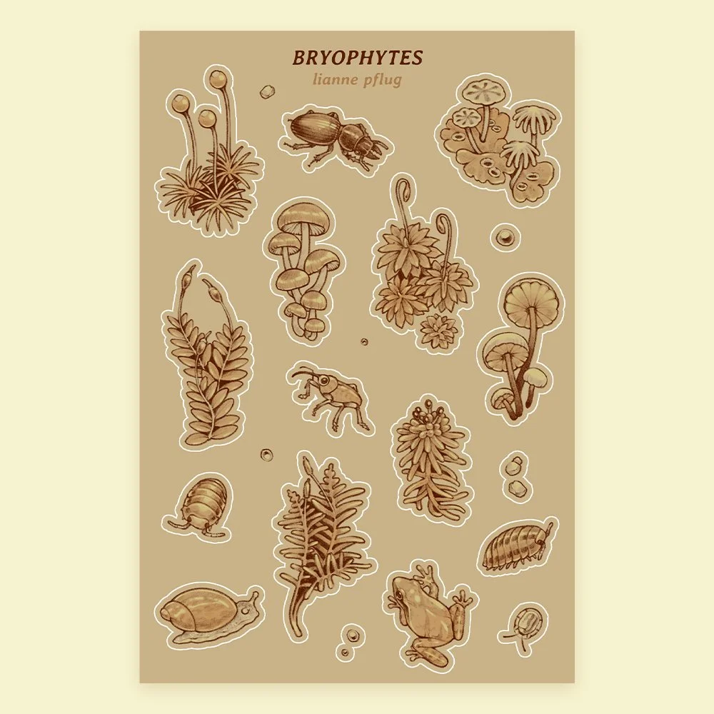 bryophytes sticker sheet.jpg