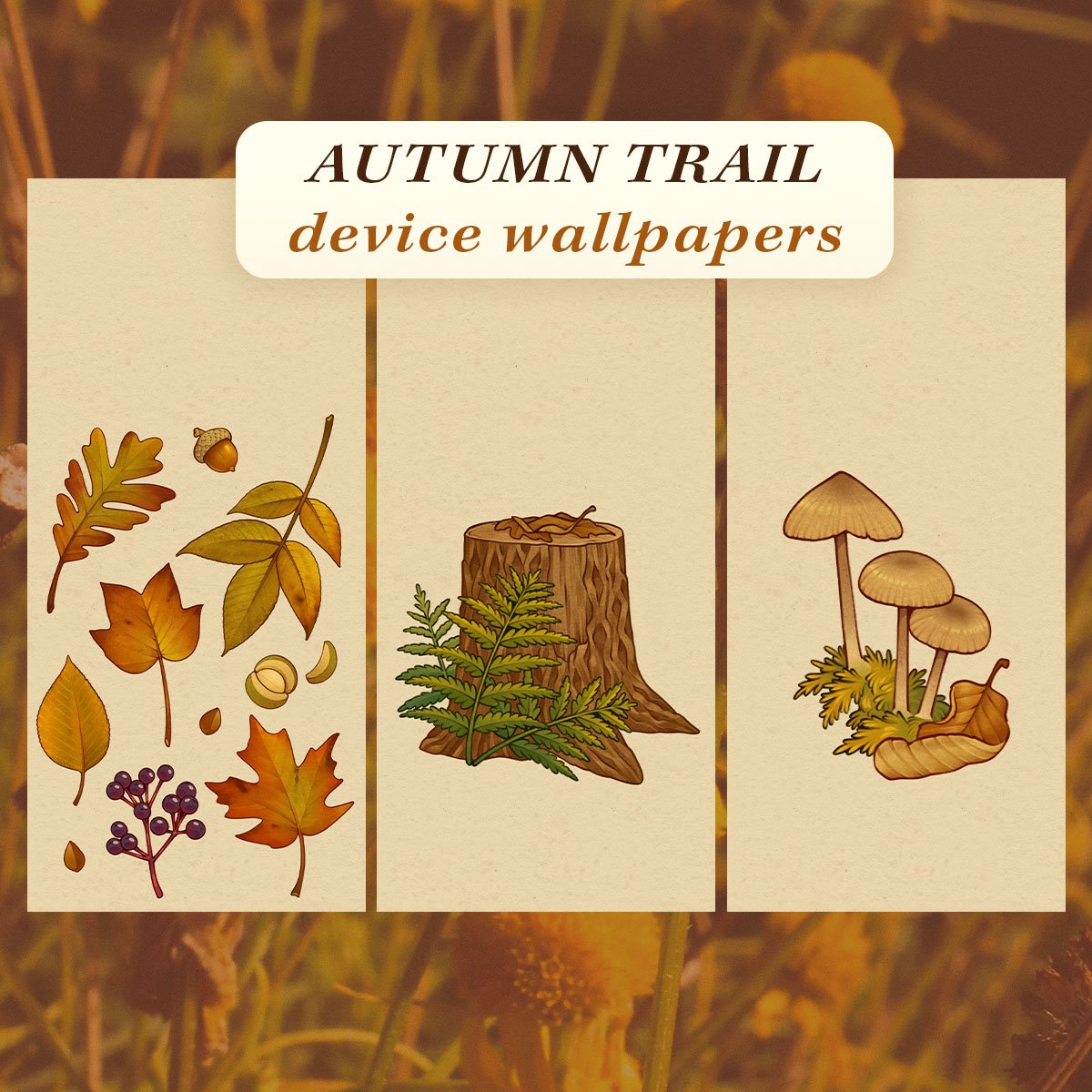 Autumn Trail Digital Backgrounds Cover.jpg