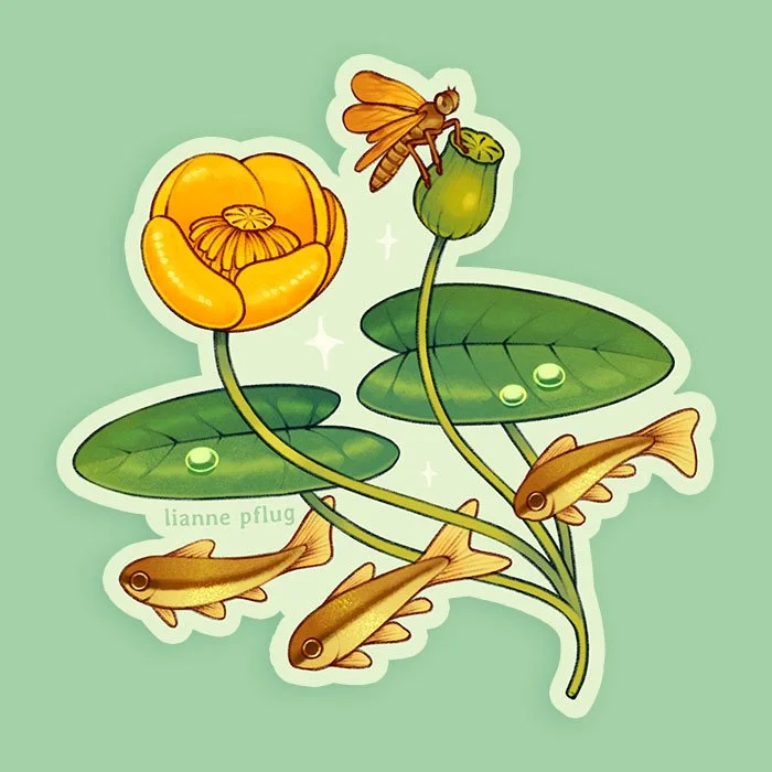 spatterdock sticker pic.jpg