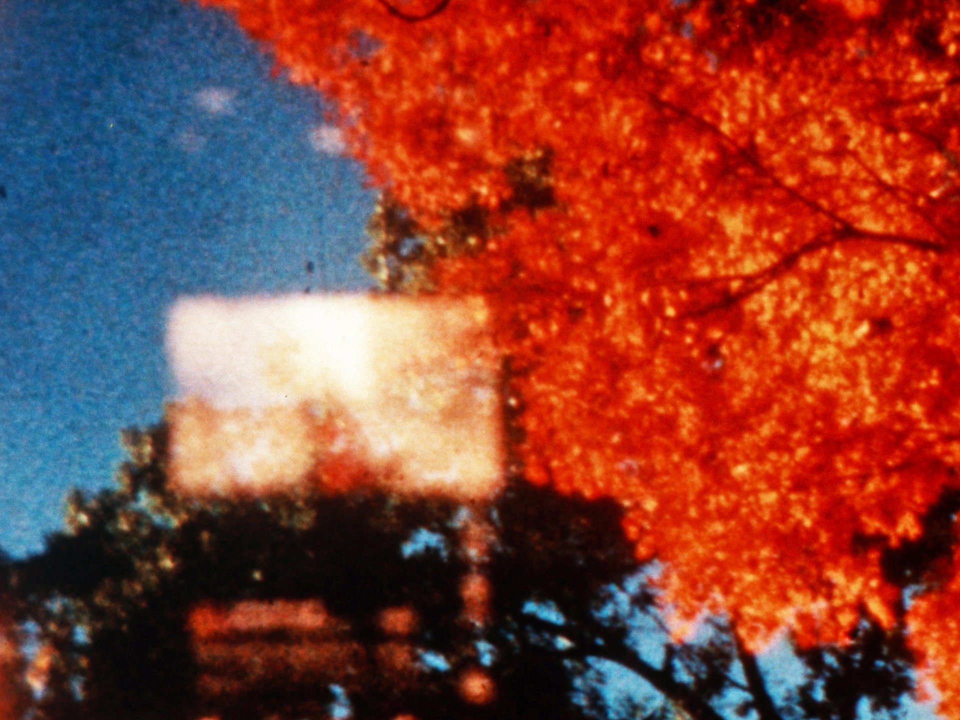 Palimpsest 3_2.jpg