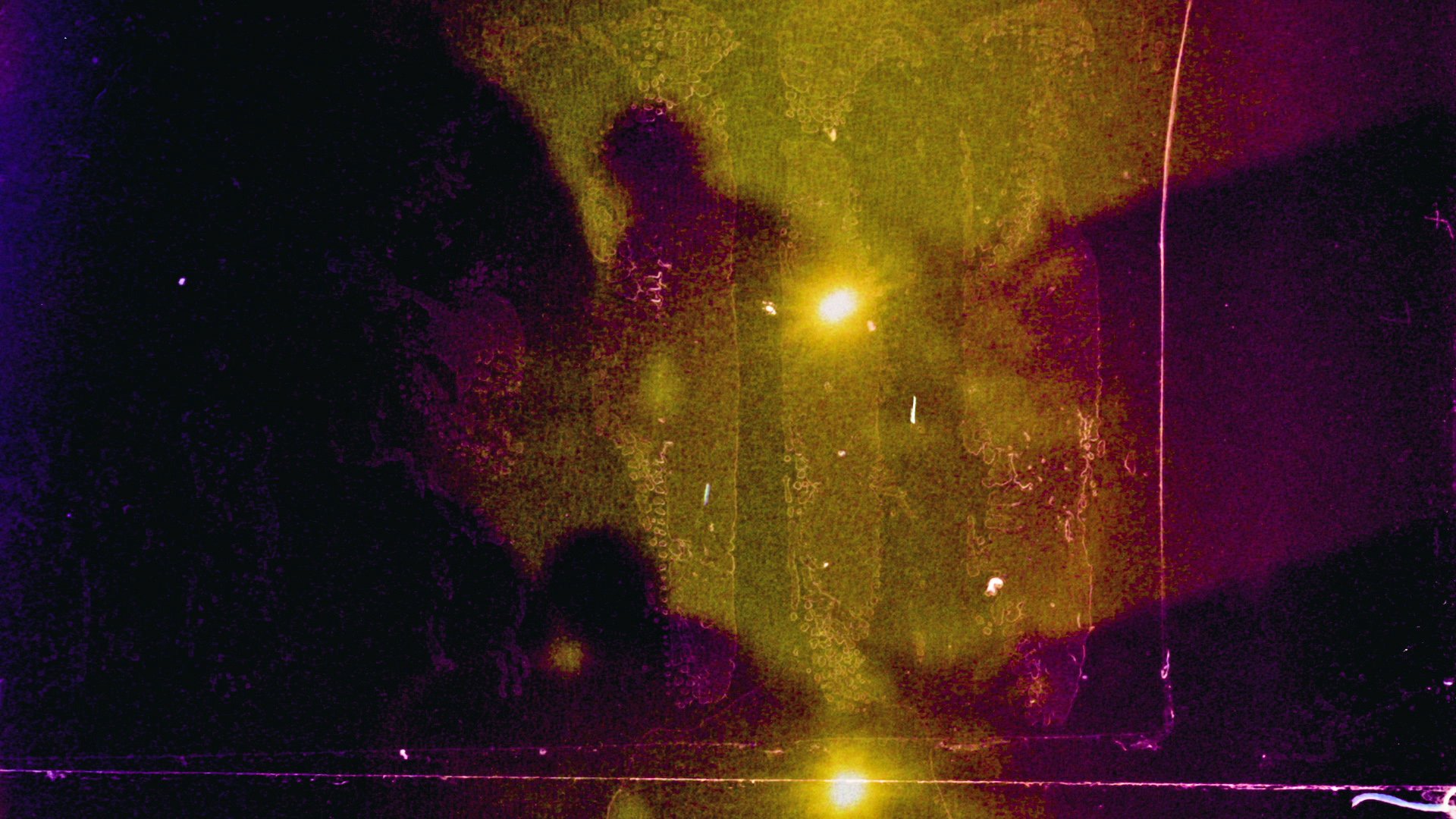 Sun, Oct 18 @ 8pm