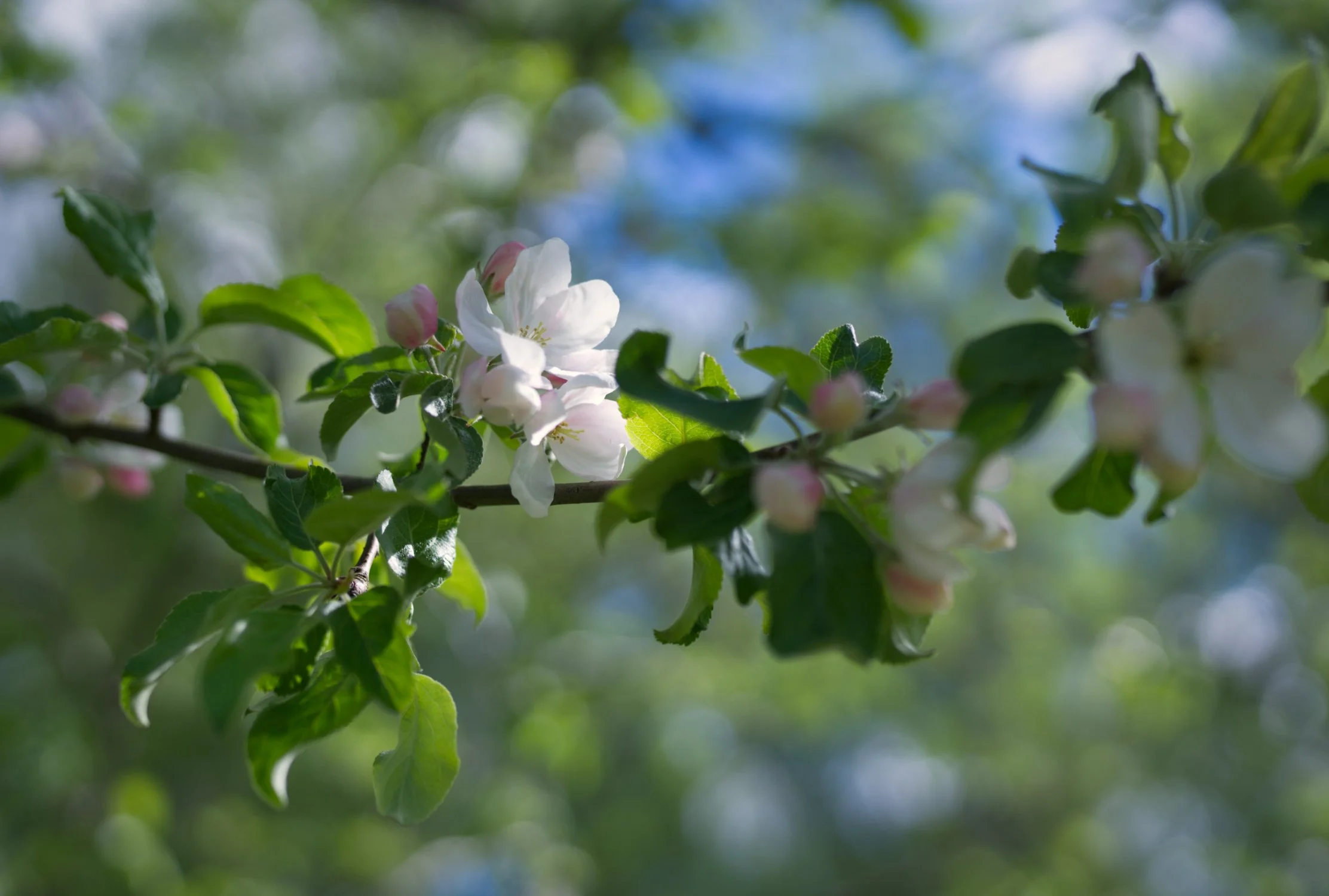 PC20260517_002.jpg
