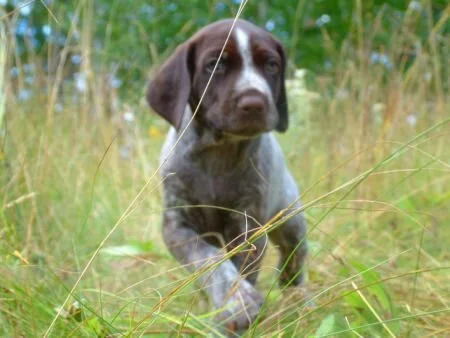grass8.jpg.6991.jpg