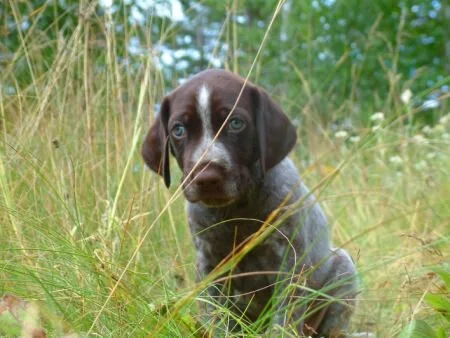grass11.jpg.9688.jpg