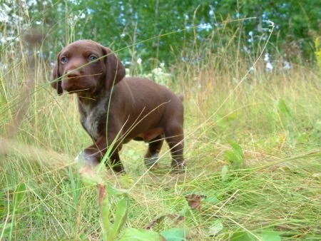 grass13.jpg.8825.jpg
