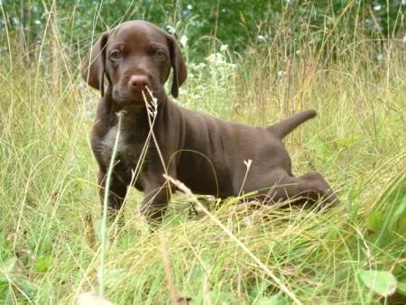 grass33.jpg.3897.jpg