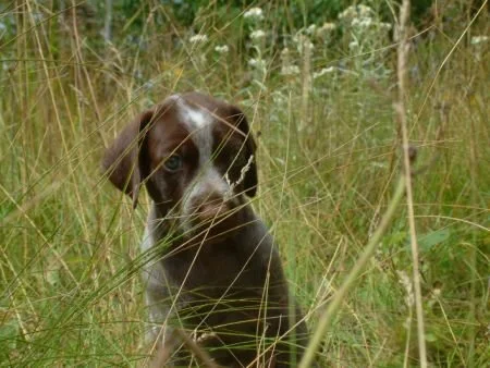 grass40.jpg.5112.jpg