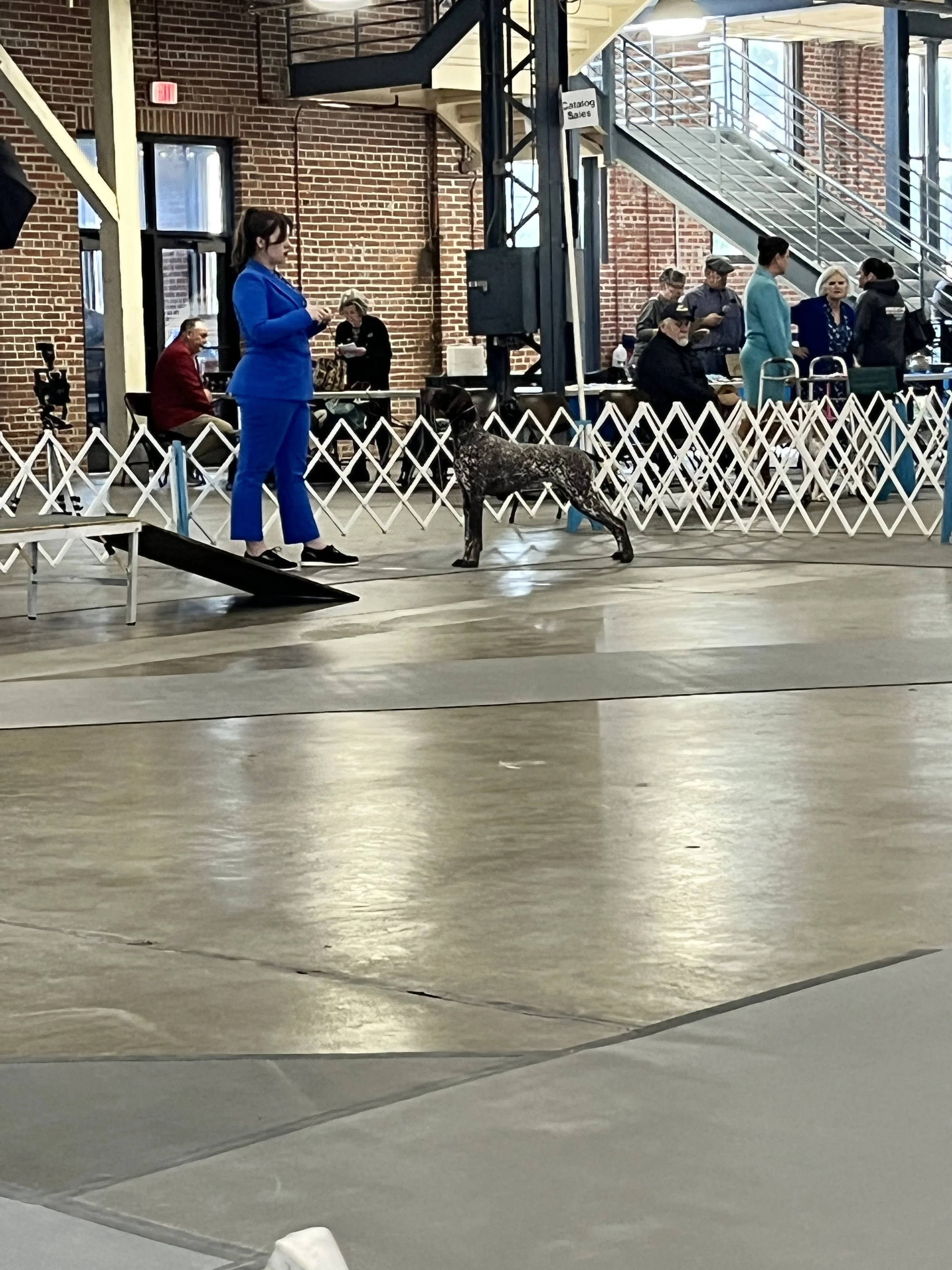 IMG_6737.jpeg