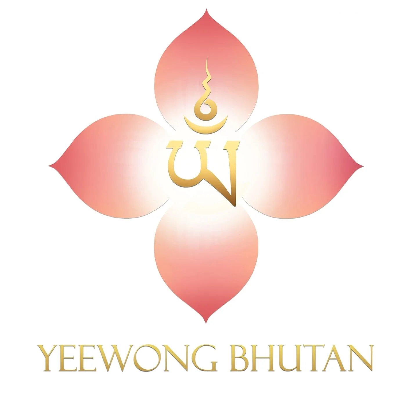 Yeewong magazine