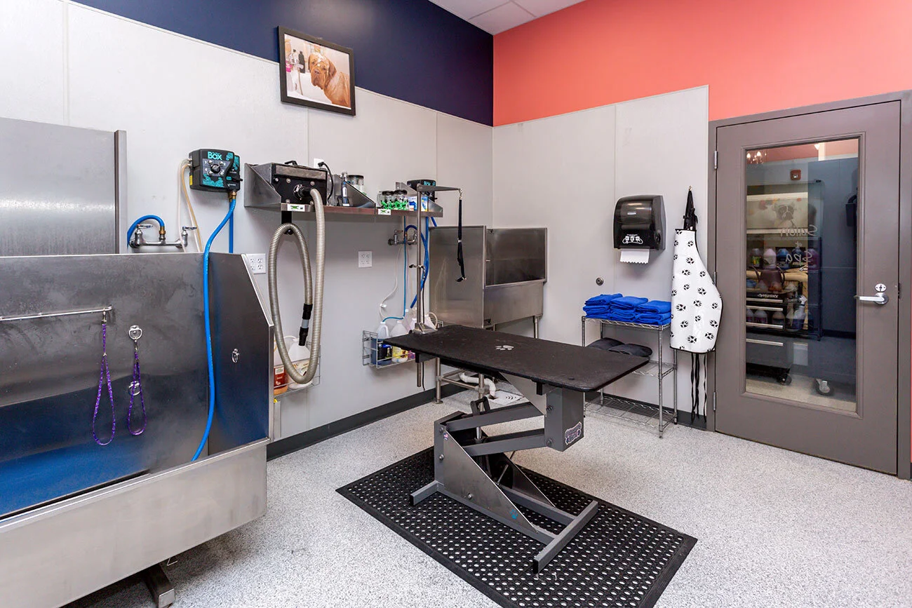 Animal Spa Spa Bathing Gallery — Wags Pet Resort Ankeny