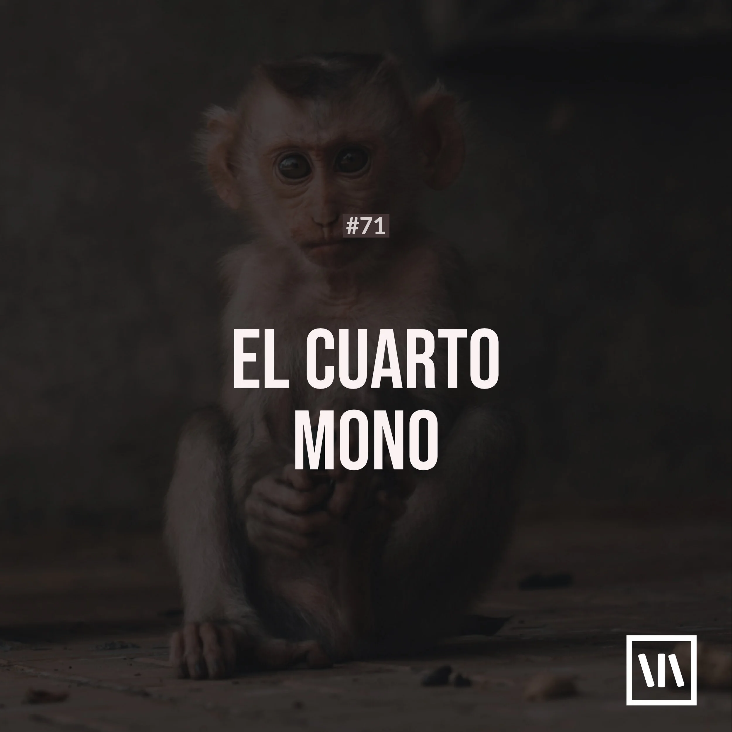 El Cuarto Mono