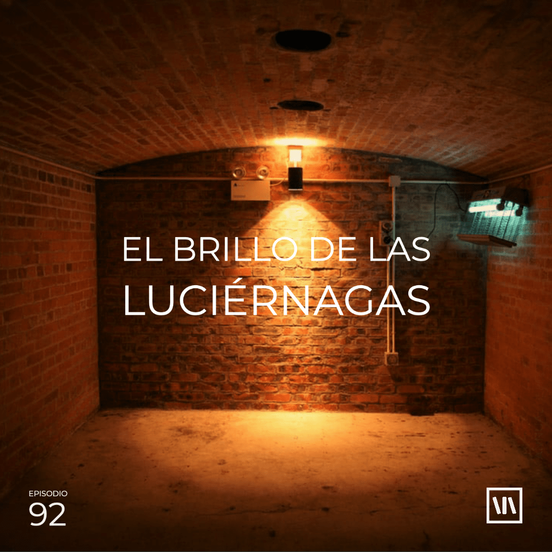 92: El brillo de las luciérnagas