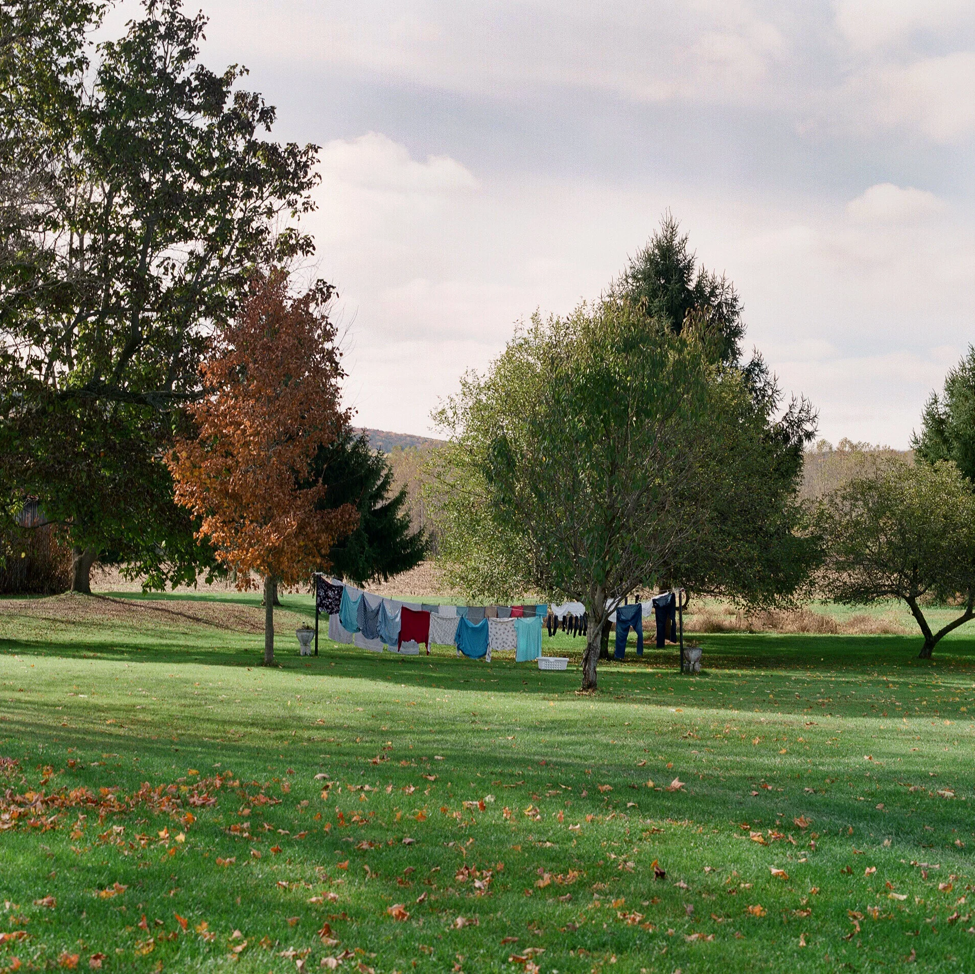 02_04_15660003_clothesline copy.jpg