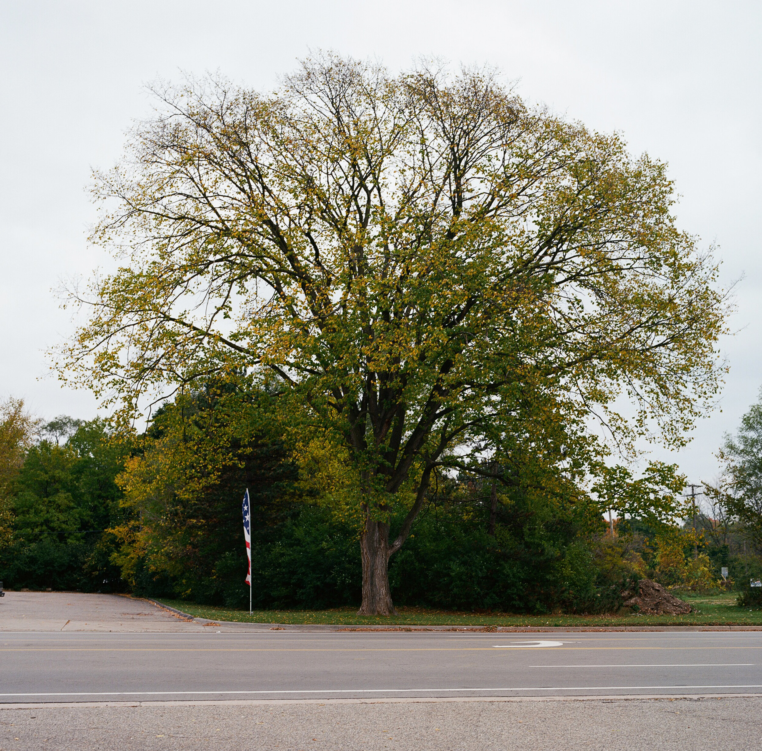 12_15710005_bookwright copy 2.jpg