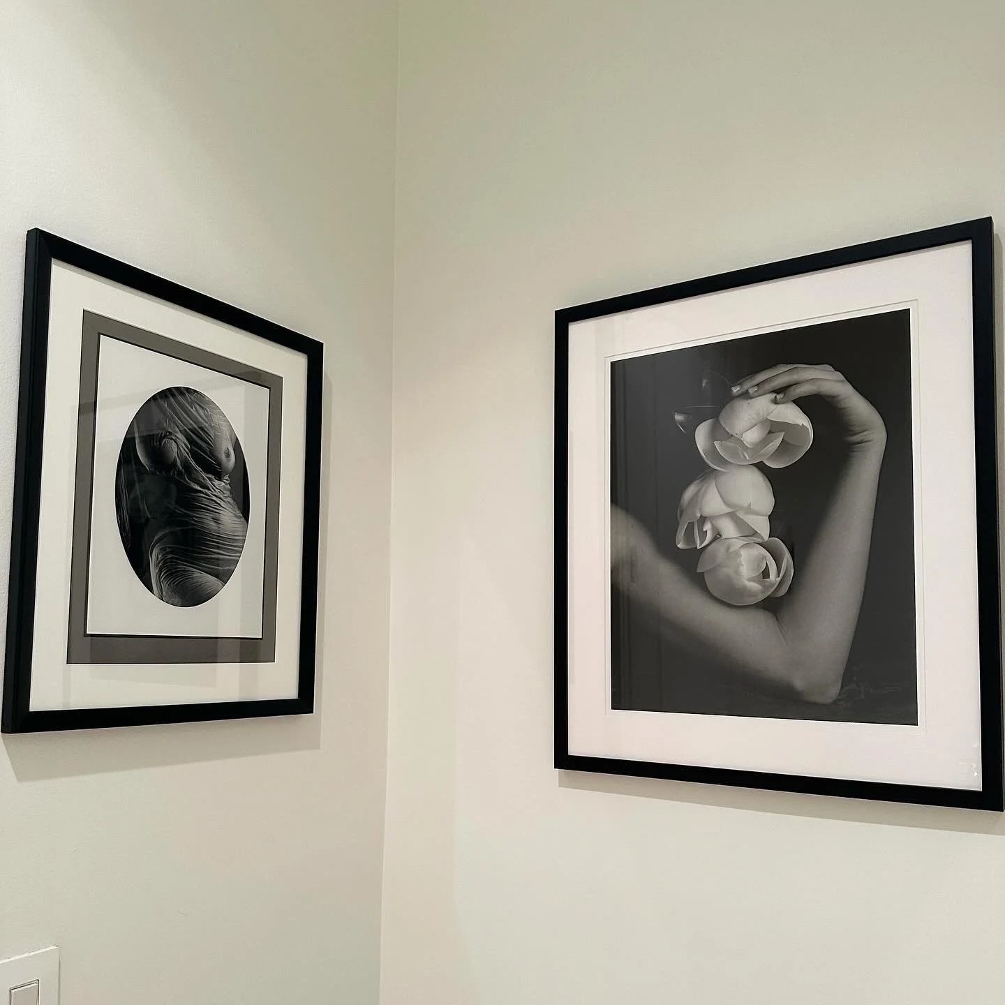 Adore the placement of the delicate Triple Magnolia by Robert Langham with the nude torso by Ruth Bernhard in the home of collectors that truly appreciate gelatin silver photographs. 

If you ever need assistance with acquiring or appraising photogra