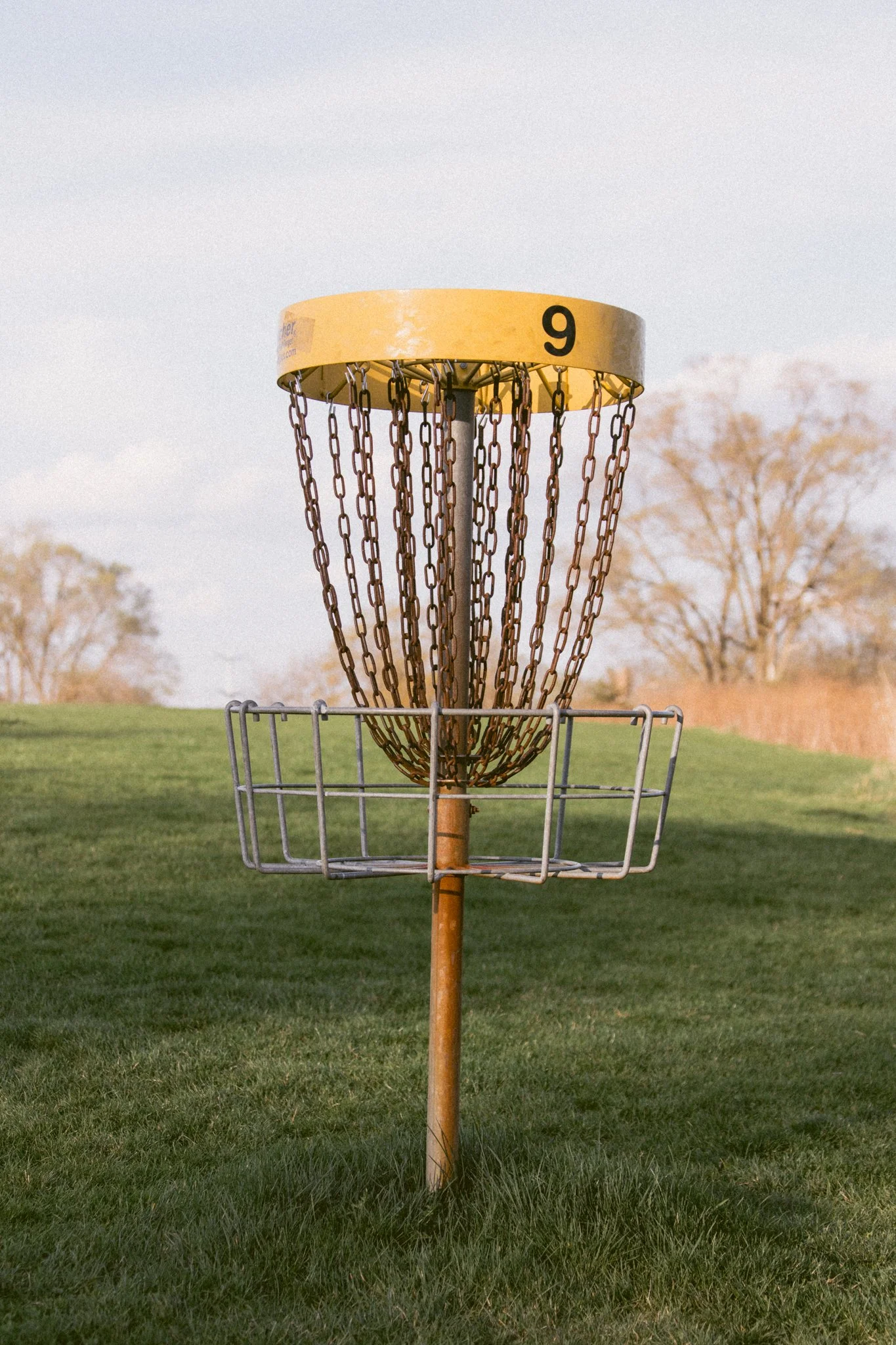 The Disc Golf Photographer Lauren Lakeberg