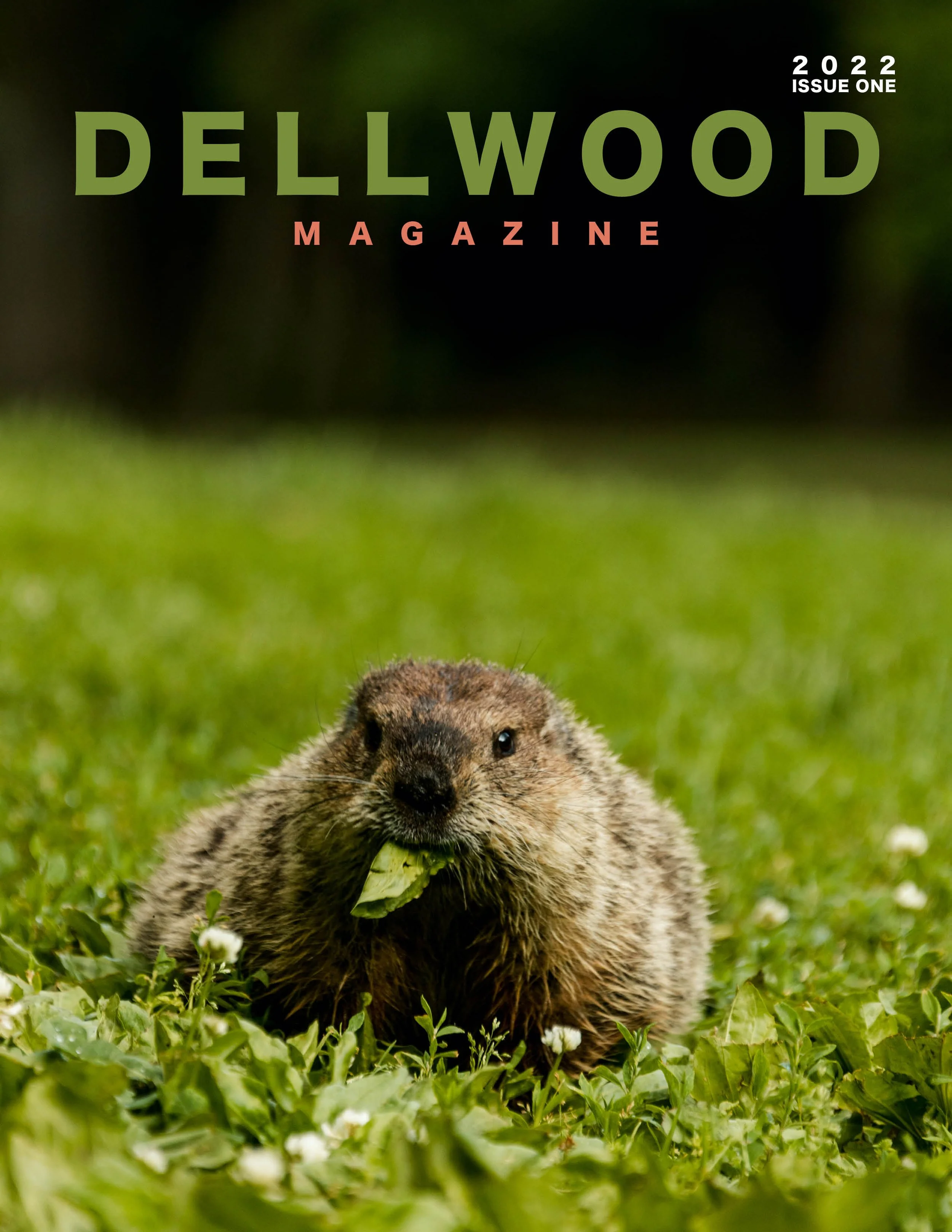 DELLWOOD MAGAZINE - ISSUE ONE 2022