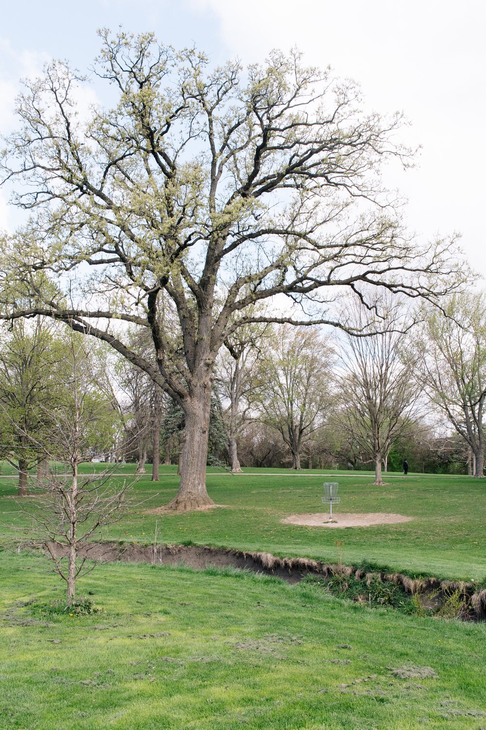 Katherine Legge Memorial Park Disc Golf Illinois-10.jpg
