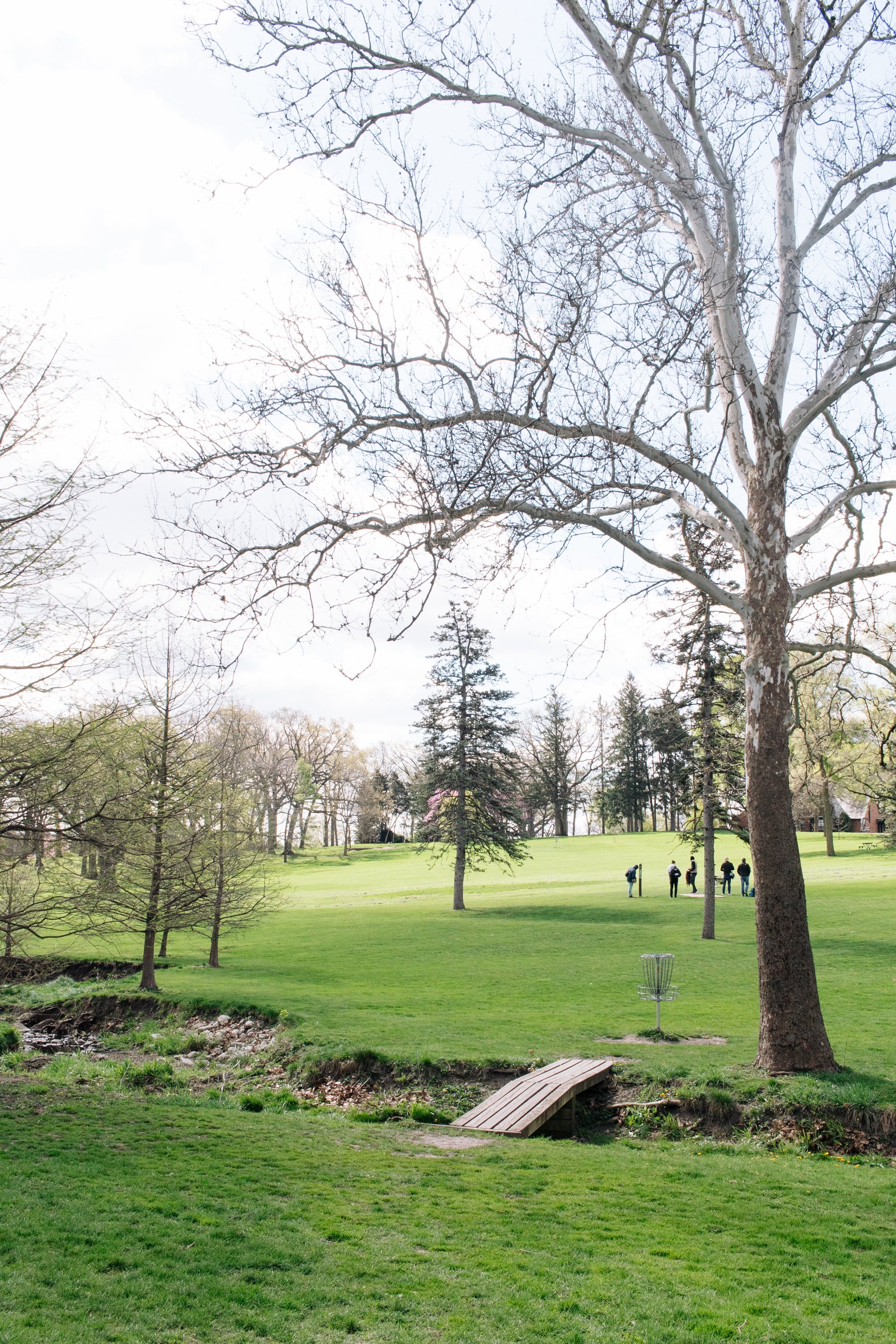 Katherine Legge Memorial Park Disc Golf Illinois-11.jpg