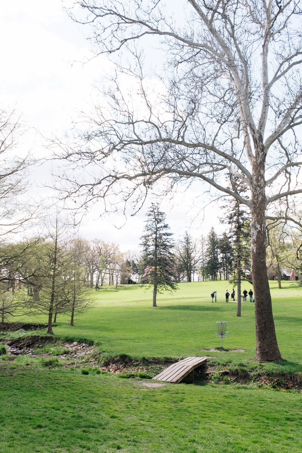 Katherine Legge Memorial Park Disc Golf Illinois-11.jpg