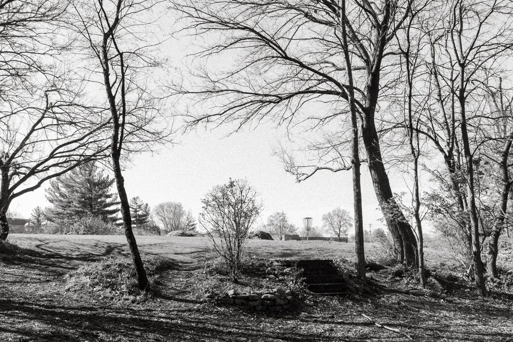 Frank Grimes Disc Golf Course in Channahon IL The Disc Golf Photographer