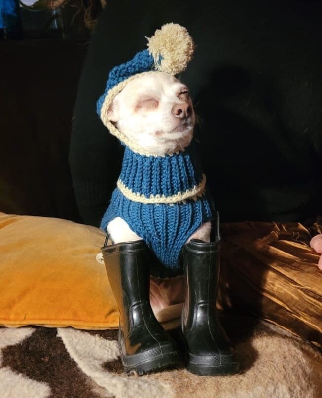 Infinite Space Professional Organizing Portland, Maine Professional