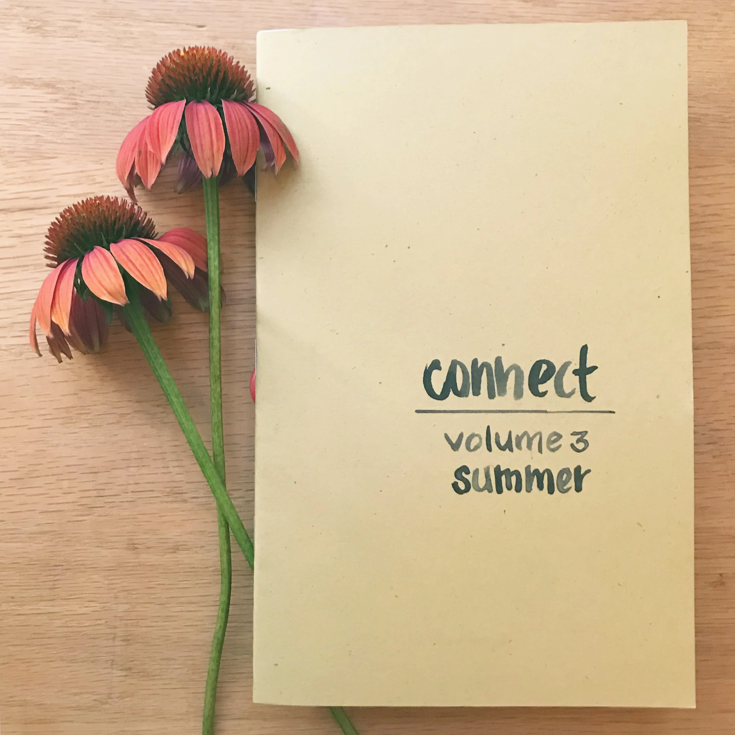 Summer.LindseyClaireNewman.jpg