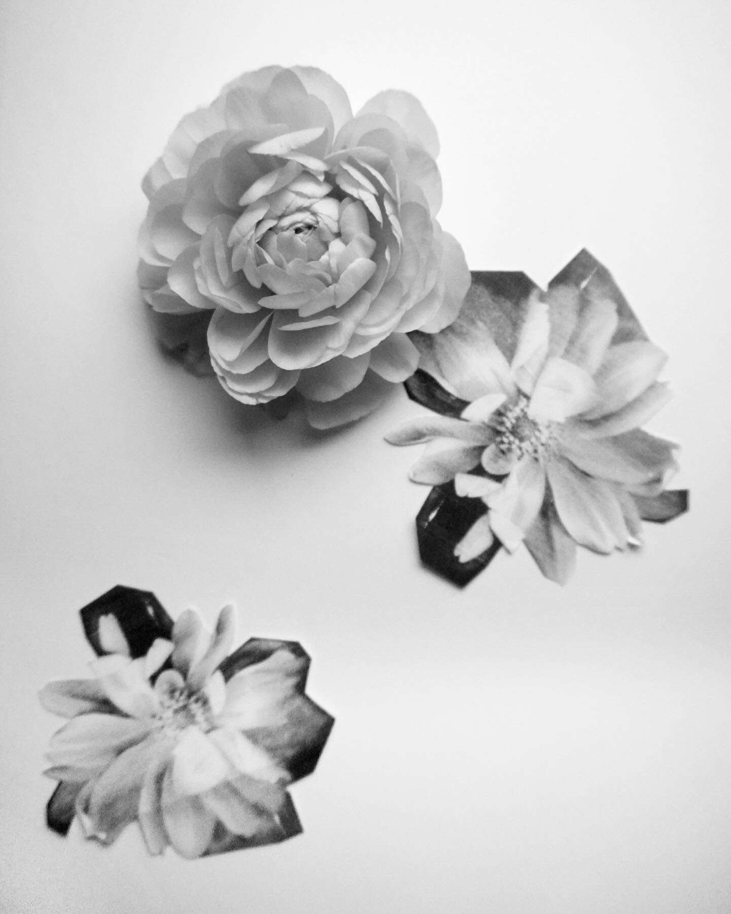 Fresh flowers, two ways:)