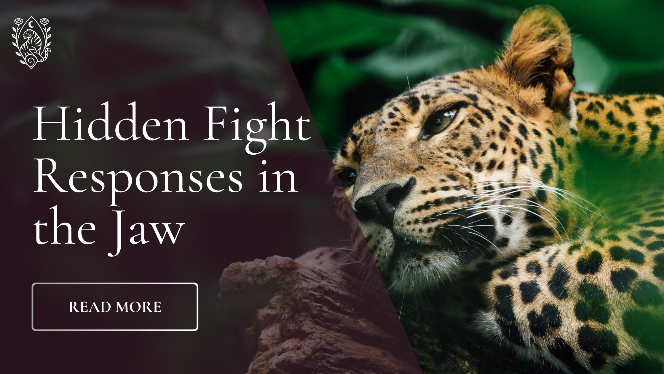 Hidden fight responses in the jaw ⚔︎