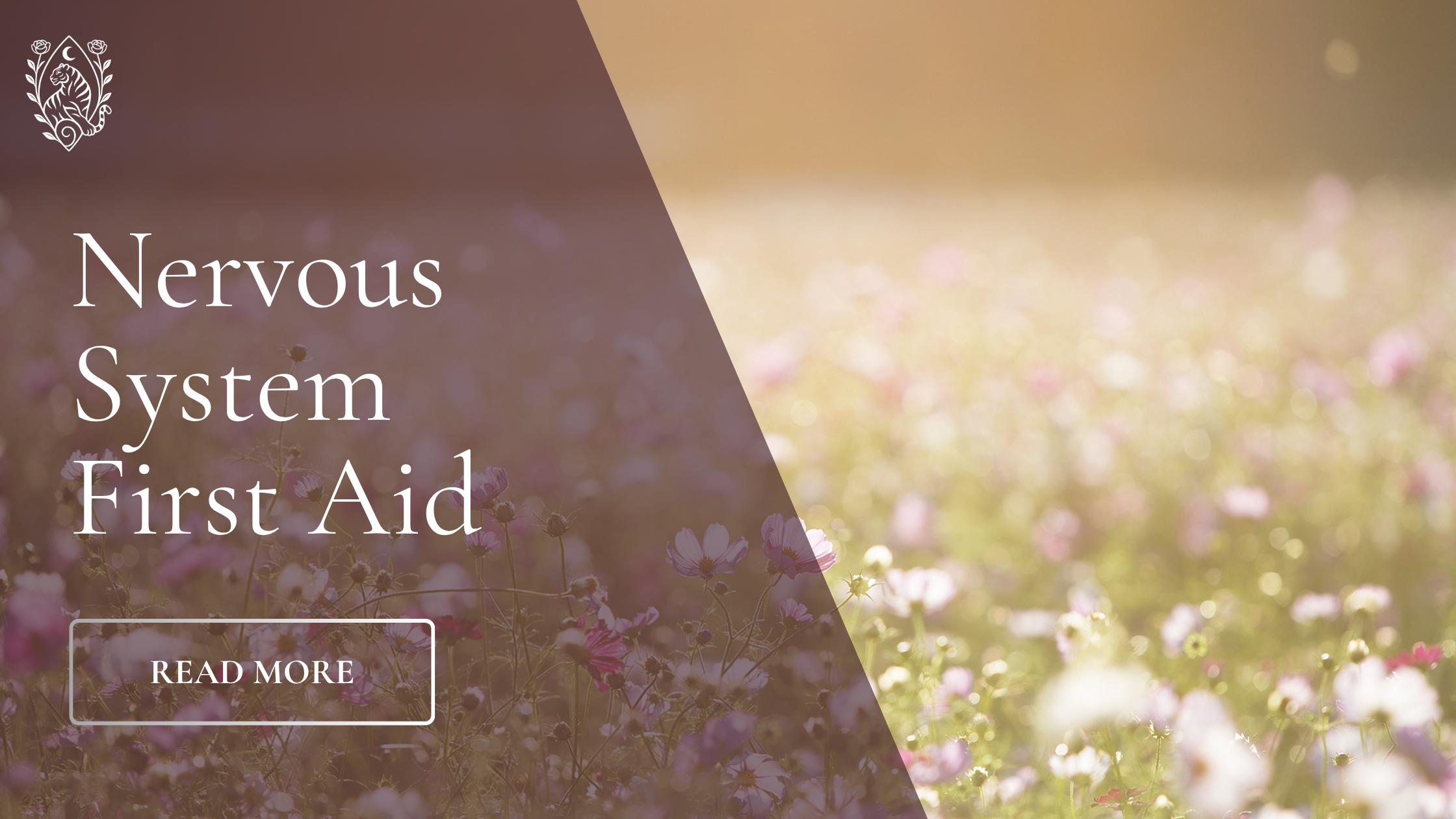 Nervous system first aid⚕️