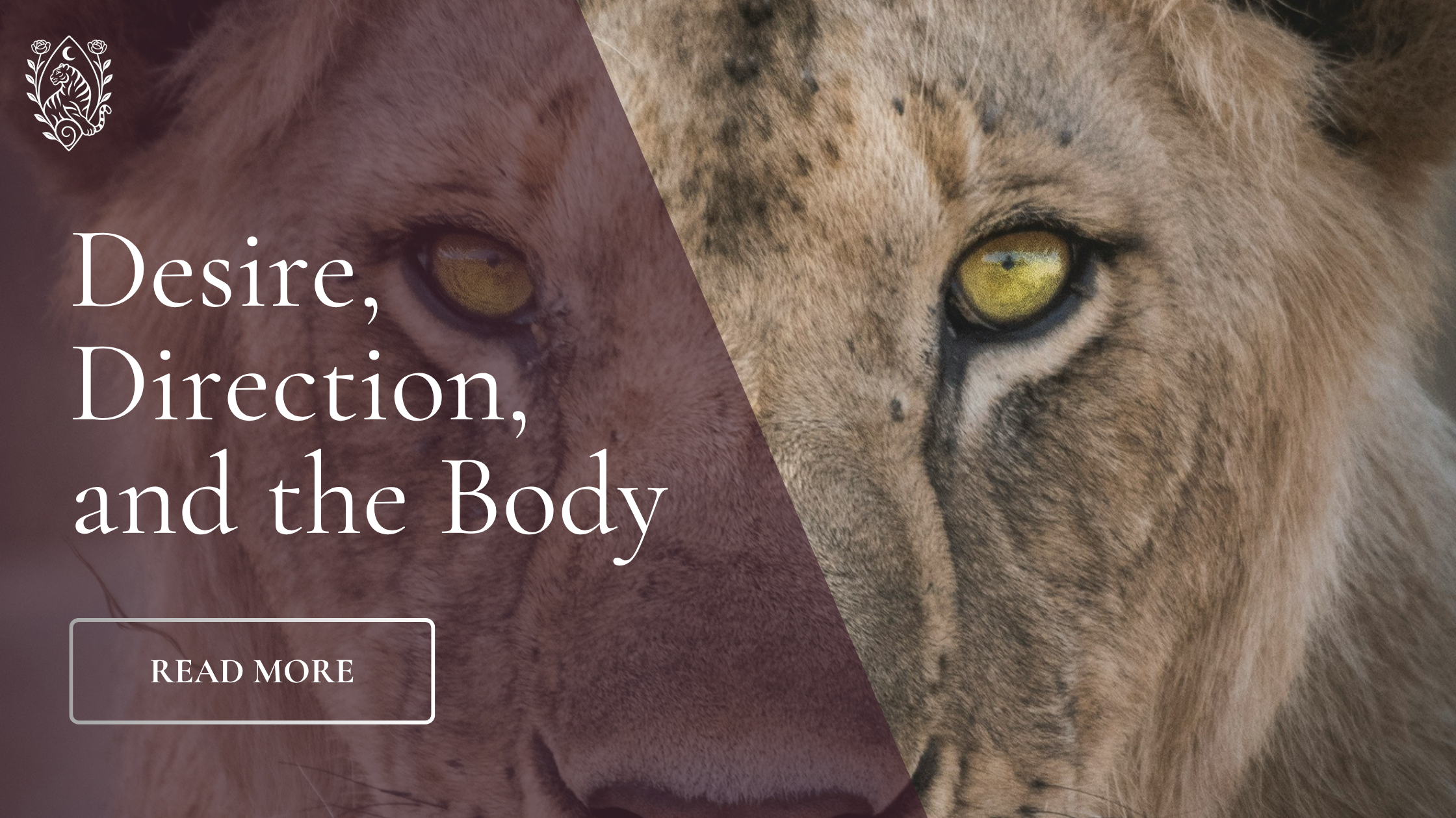 Desire, direction, and the body ➷