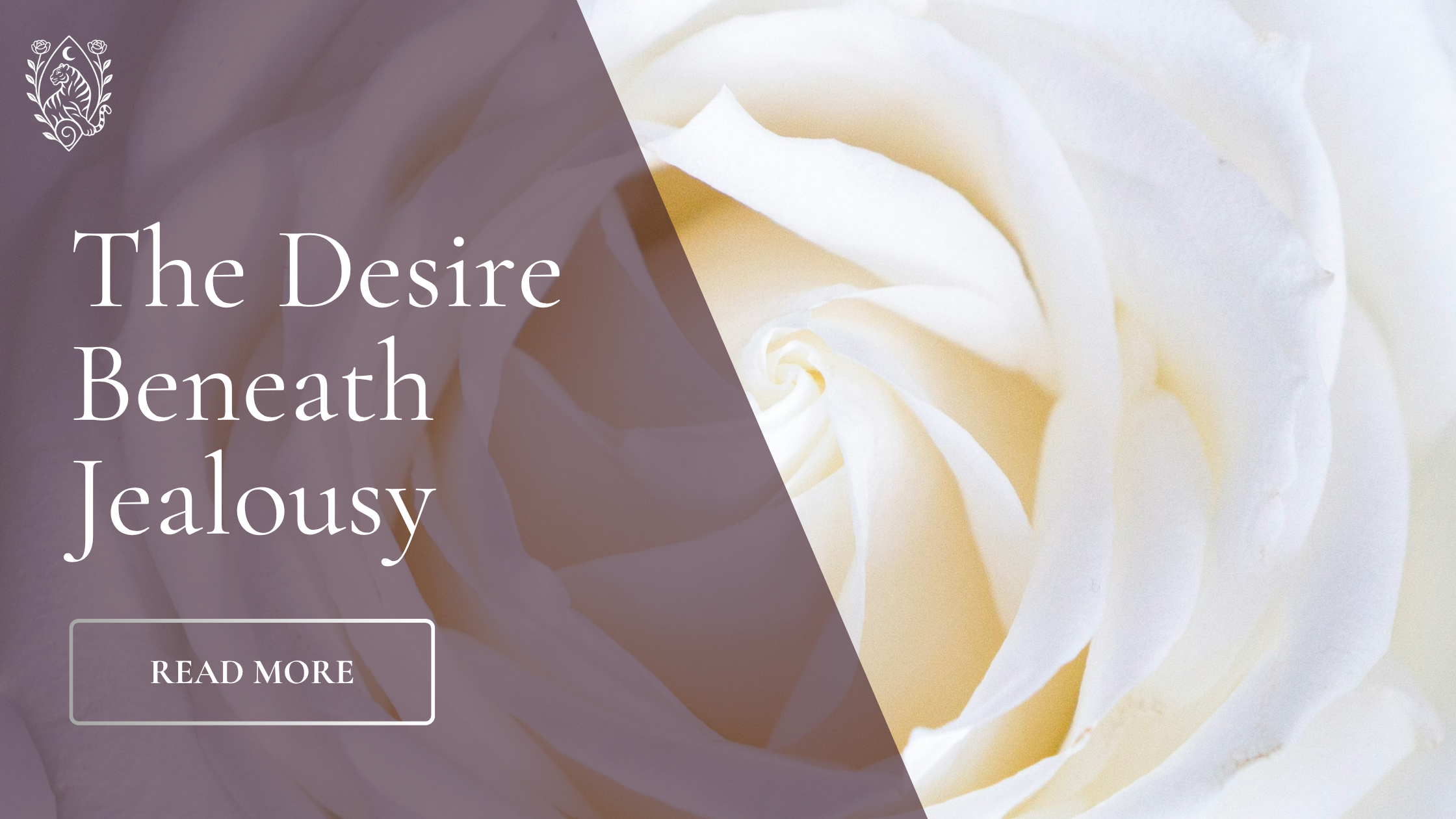 The desire beneath jealousy ࿈