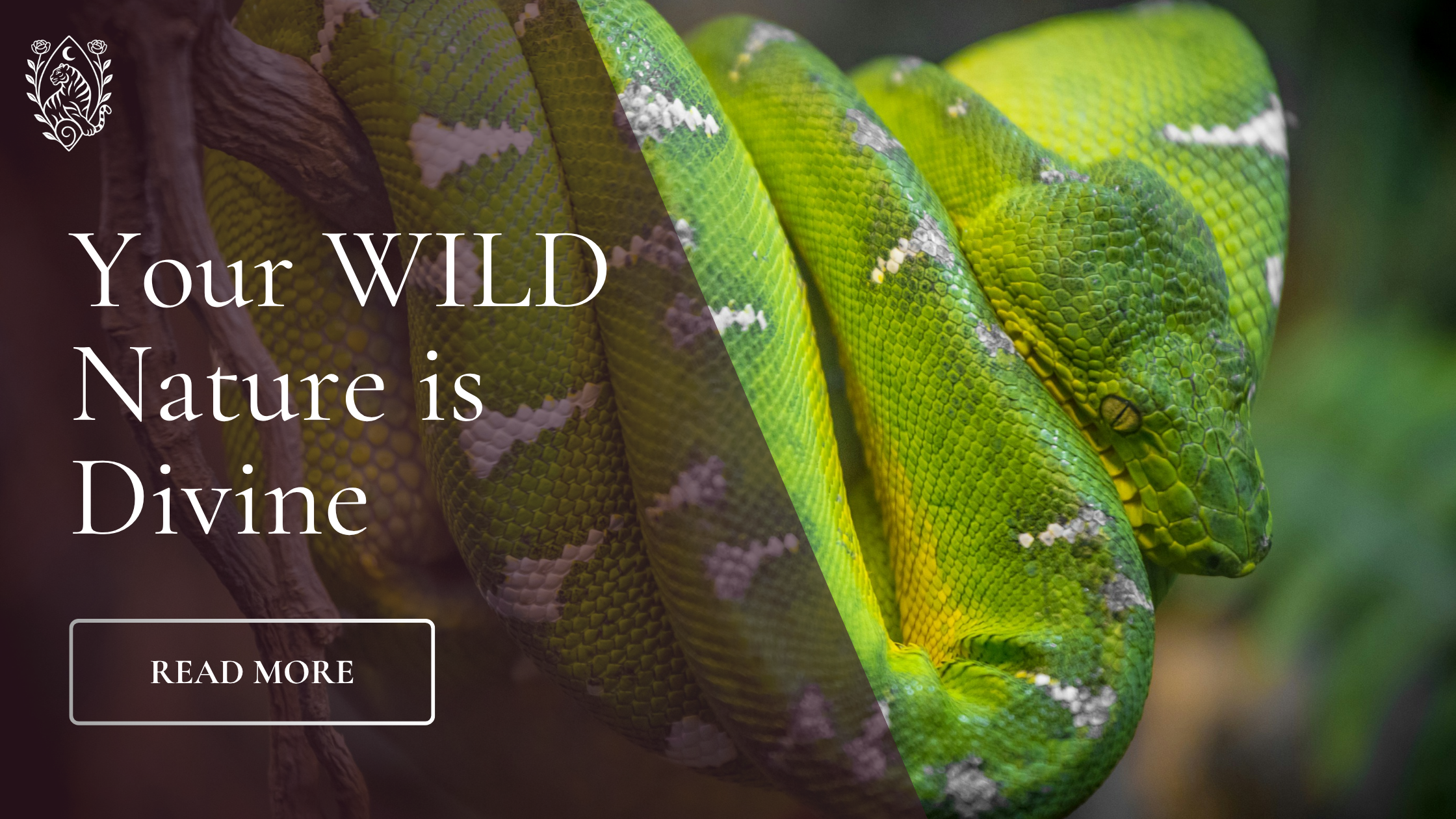 Your WILD is divine 𓃬