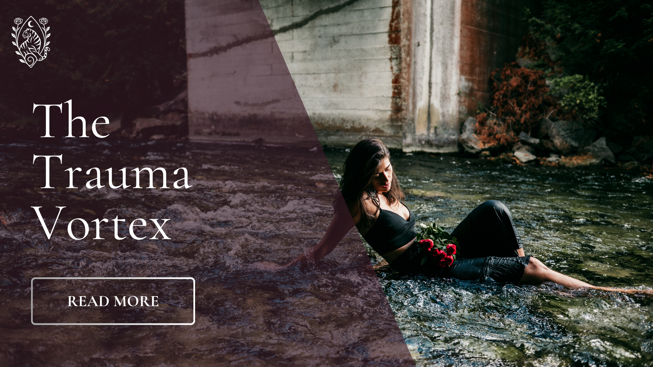 The trauma vortex ୭