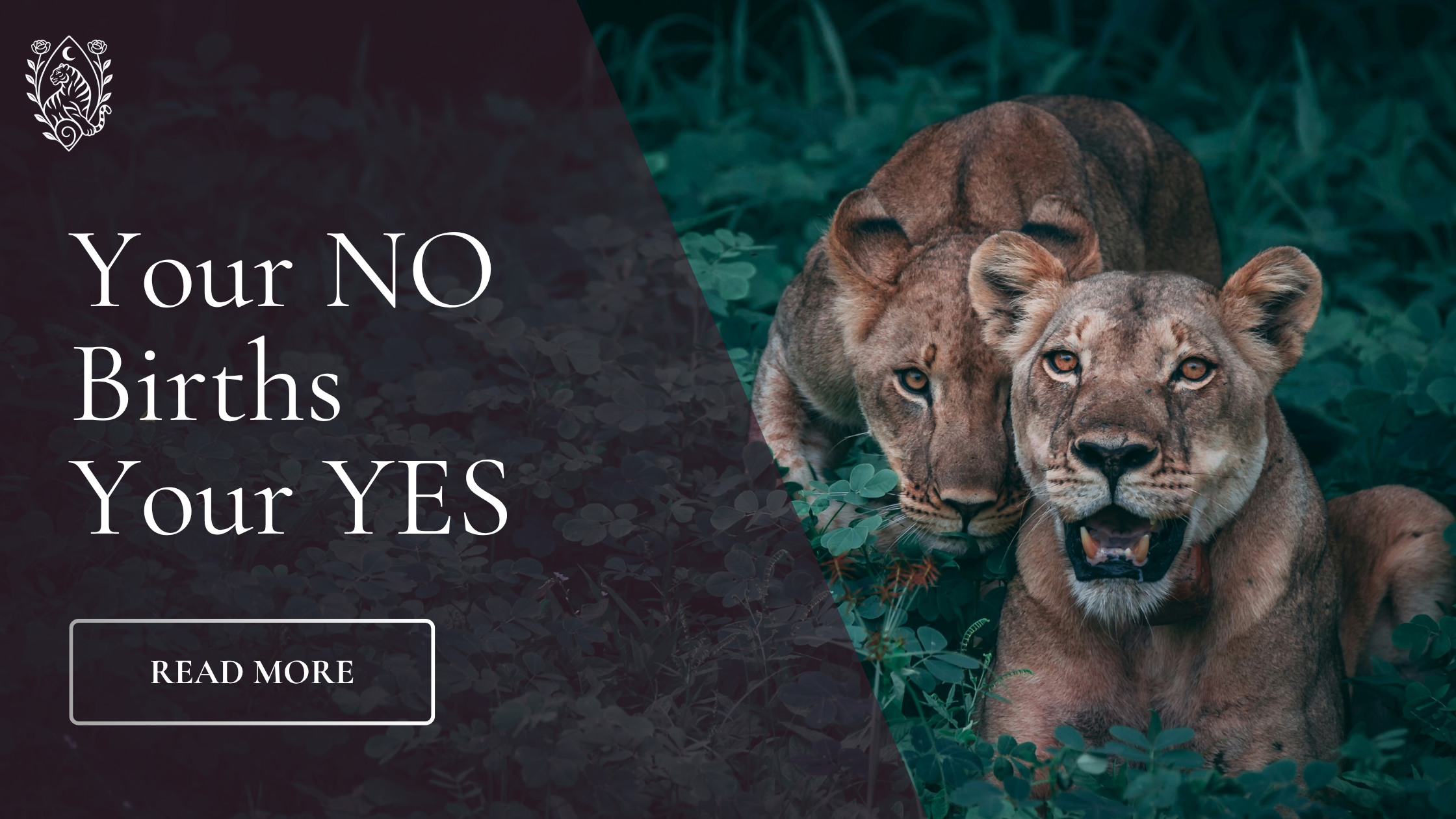 Your NO births your YES ❀