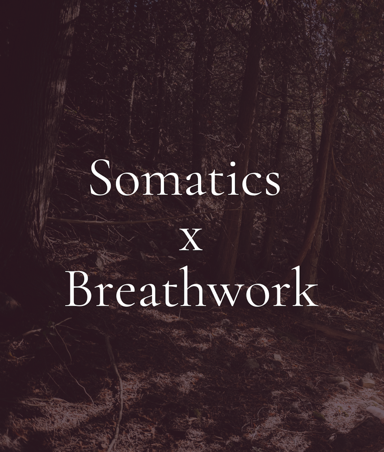 Somatics x Breathwork | Awaken for 2026
