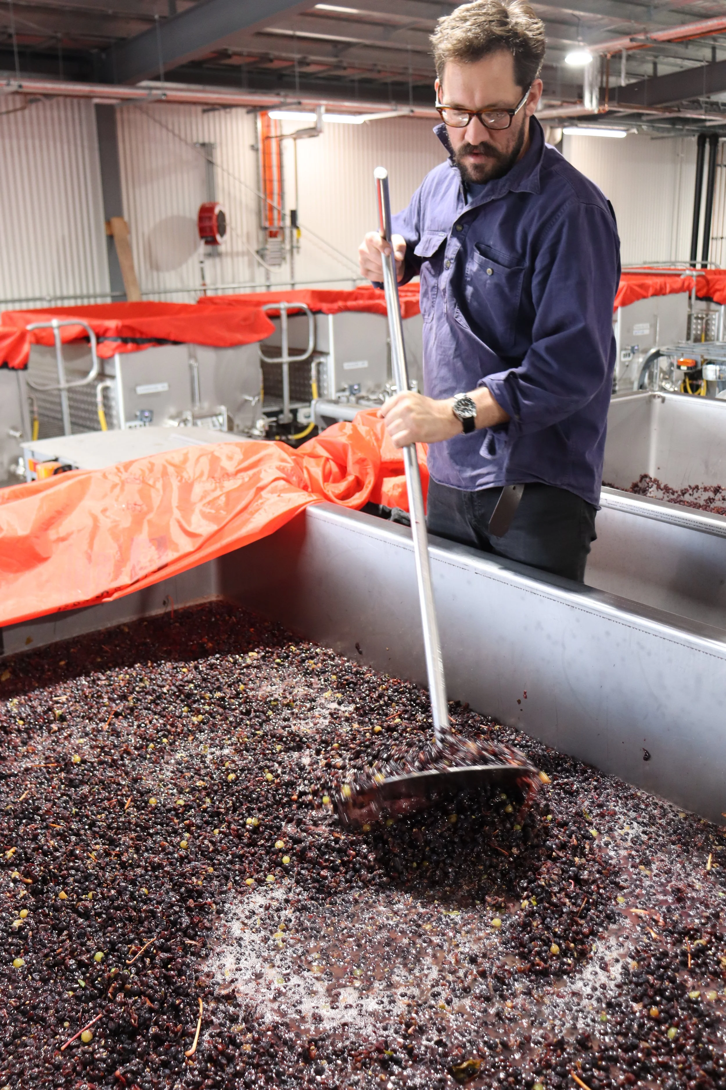 Luke Andree plunging a red ferment in tank in the winery during vintage