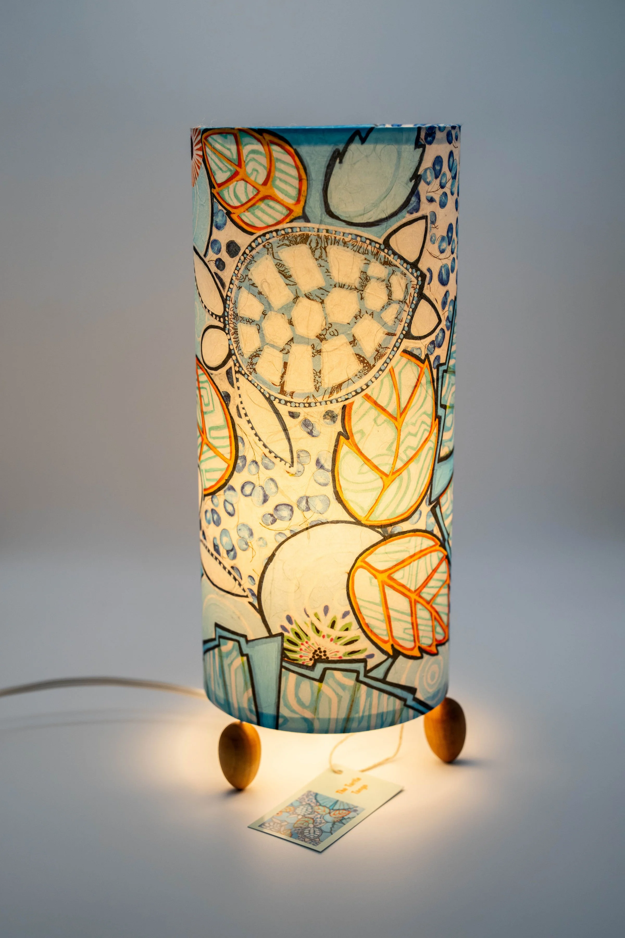 Turtle Tango Lit 2.jpg