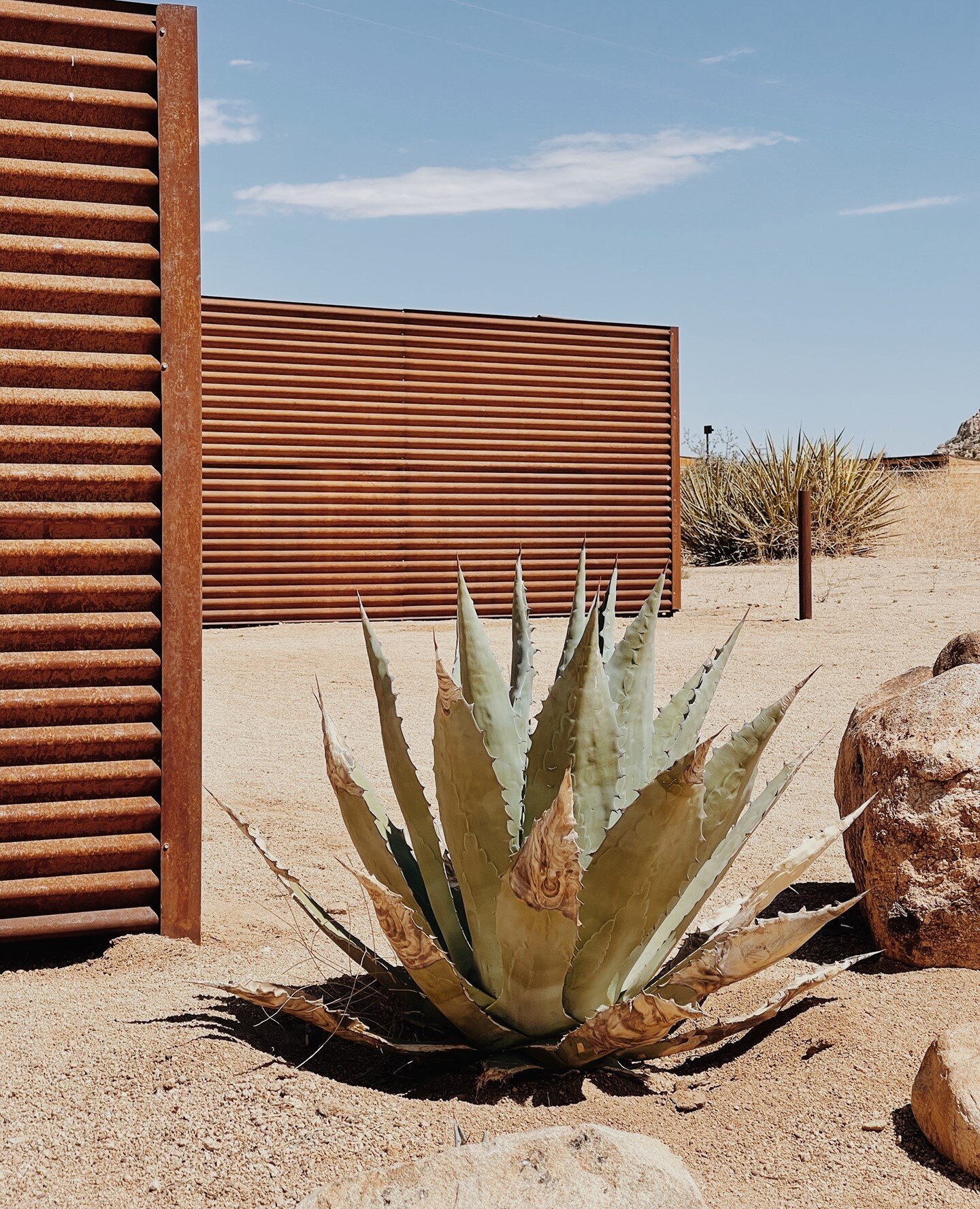 The desert contrast⁠
photo &mdash; @nathanmmueller⁠
#HomesteadModernNo1 #HomesteadModern