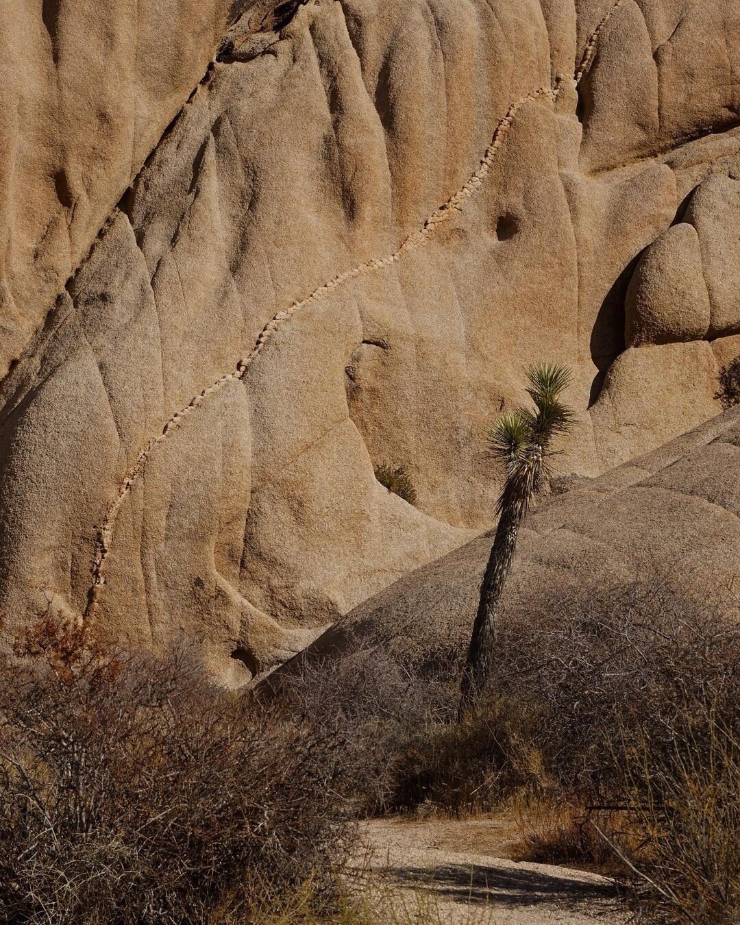 Desert tones⁠
photo &mdash; @jessinoor⁠
#HomesteadModern
