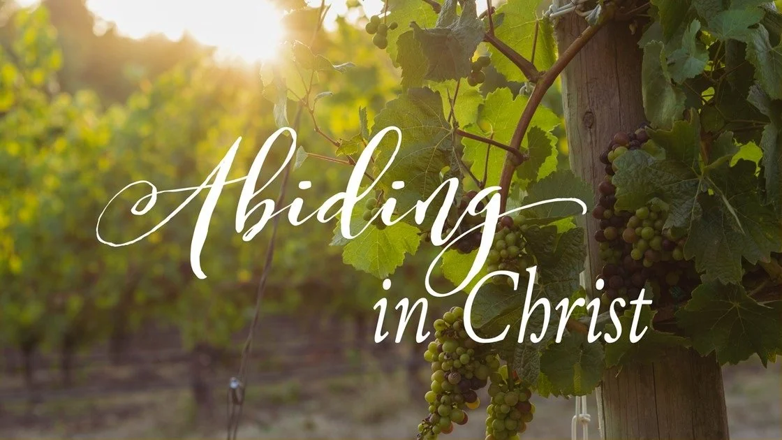 Abiding in Jesus: Following Jesus Before Doing Things for Jesus