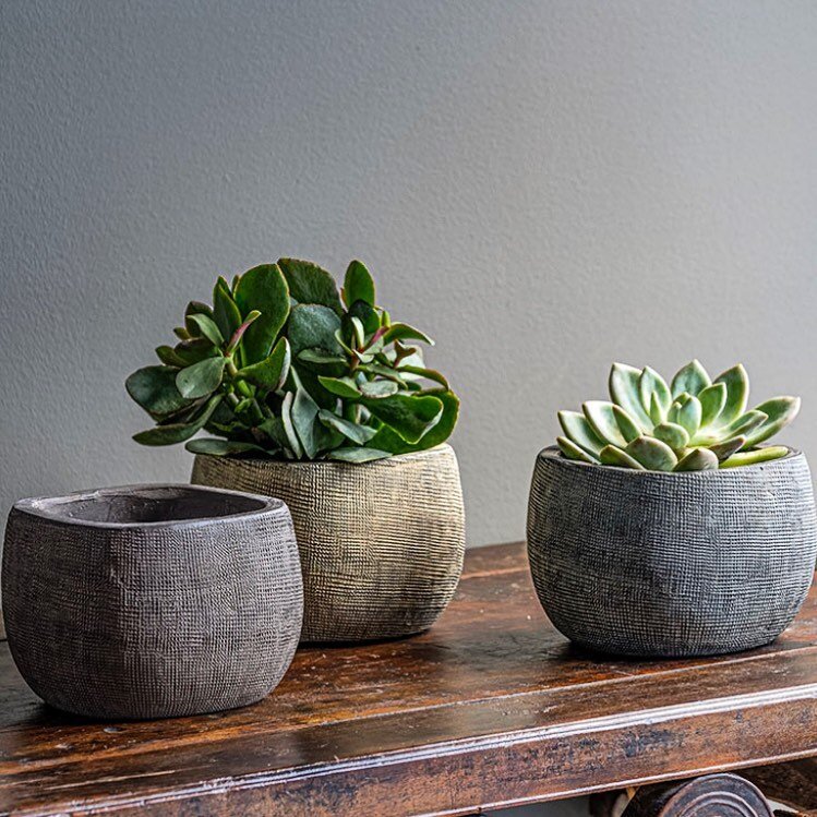 The perfect finish ✨Jute square assorted glazed planters will give the final touch to your indoors.
Foto shot 📸 by : @campania.international.  Order your custom made Jutes Planters Now &amp; Before we ran out. 🪴. Combine your favorite succulents or