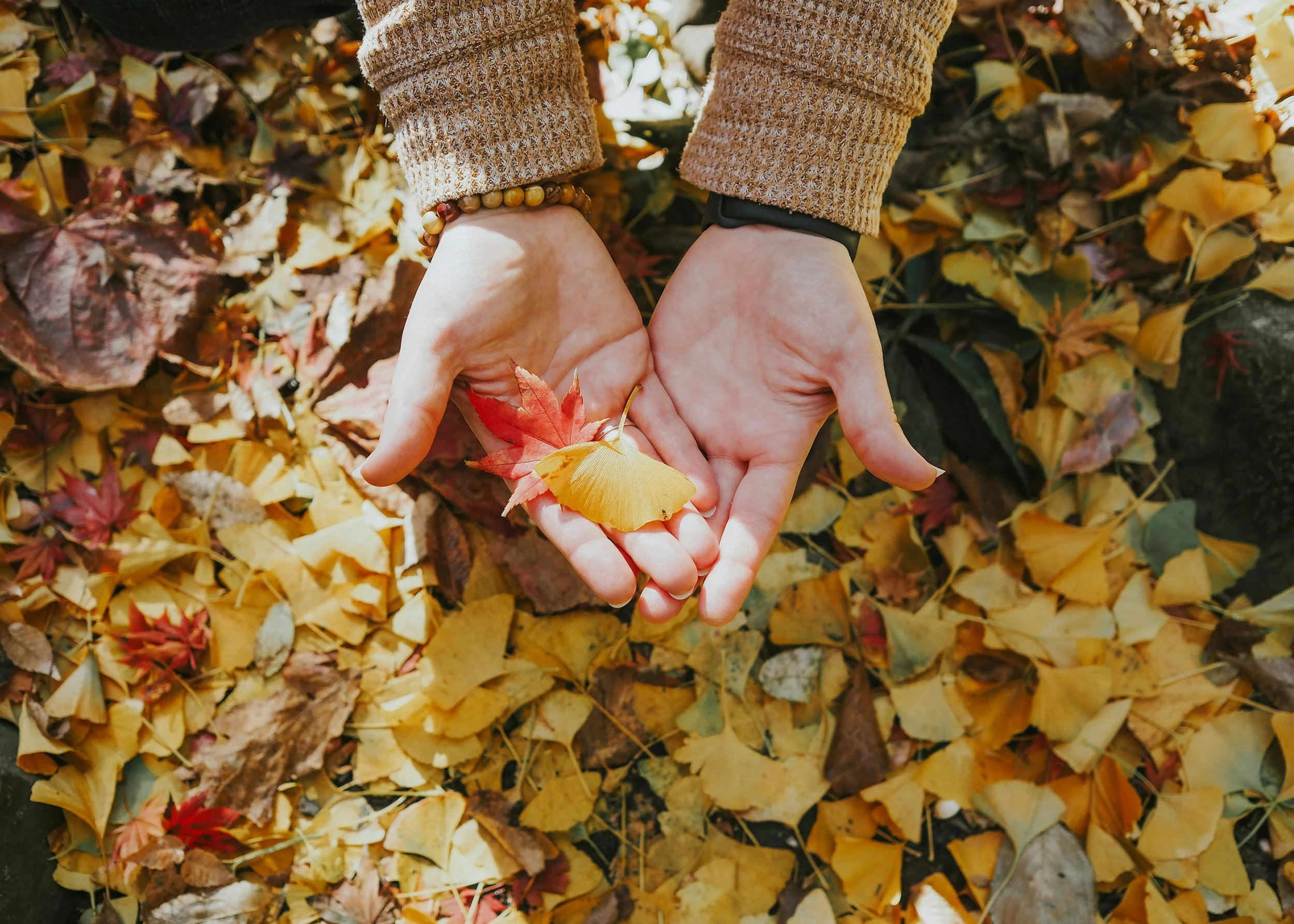 Indigenous Hands-on Healing Workshop with Dr. Lewis Mehl-Madrona &amp; Barbara Mainguy, LCSW