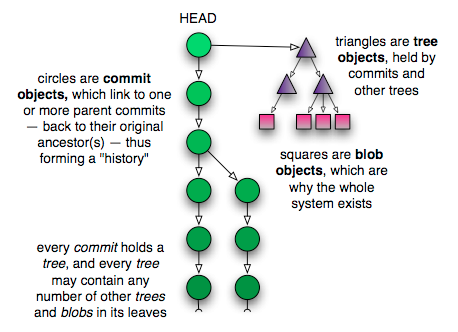 Git 5: Blobs and Trees