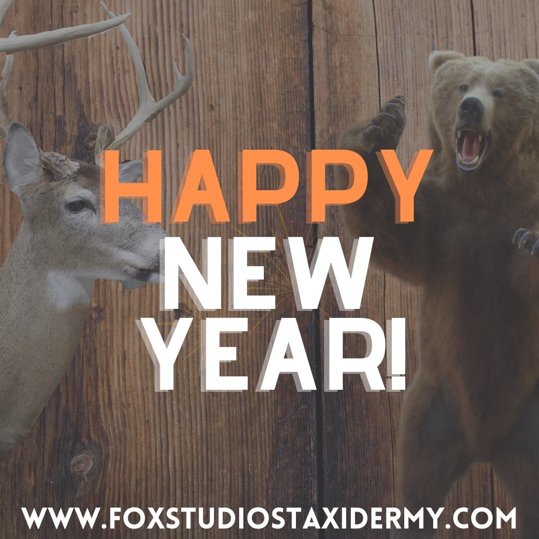 Happy New Year from Fox Studios Taxidermy!

#nye #newyear #2021 #taxidermy #taxidermist #westchesterny #westchestercounty #hunting #hunter #huntingseason #brownbearhunting #buck #whitetaildeer #whitetail #whitetailhunting