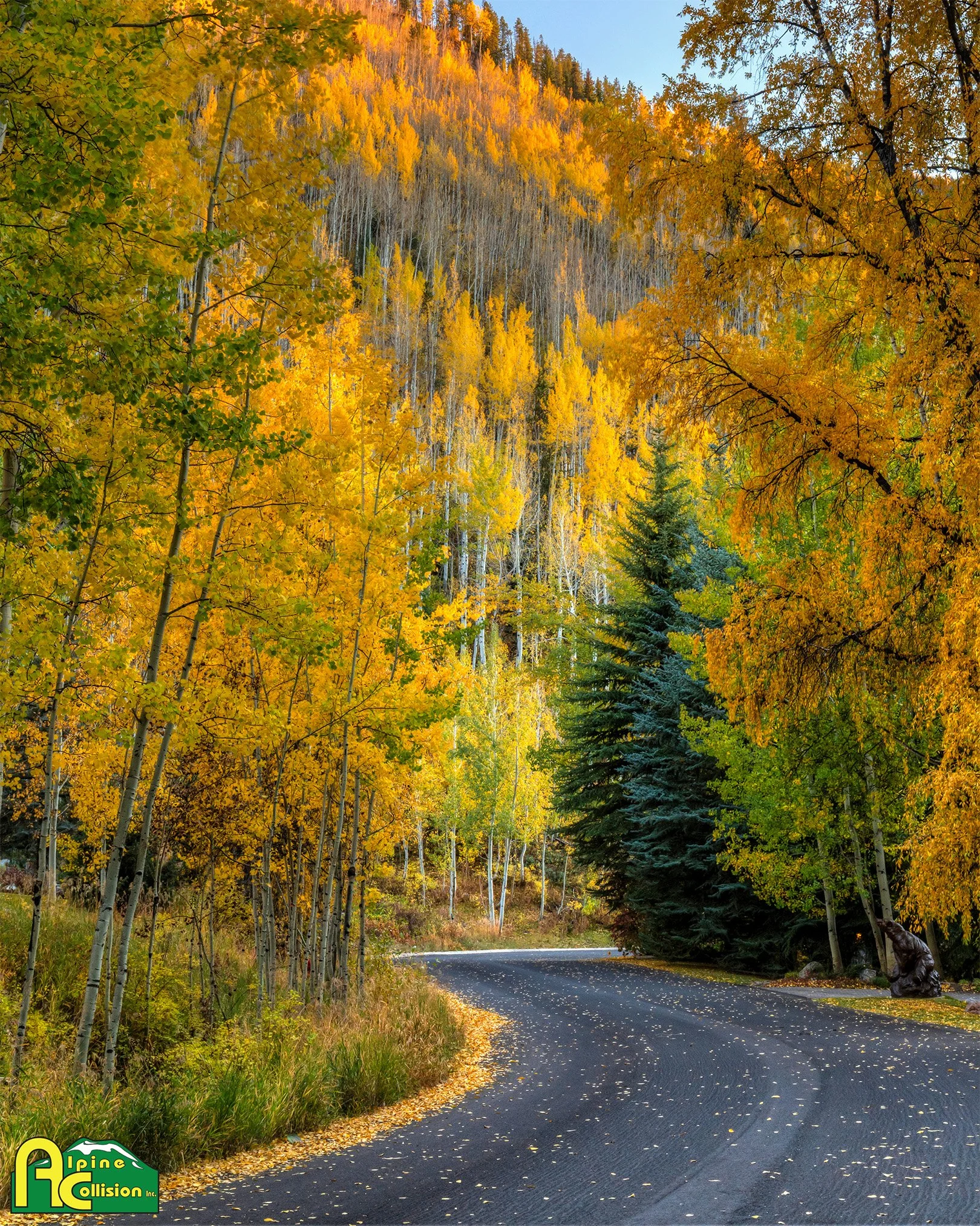 The leaves are turning colors and the weather will get more unpredictable as we head into fall. Follow these simple steps for a better performing car: 
➡️ replace your windshield wipers
➡️ check your headlights
➡️ check your tires
➡️ check your fluid