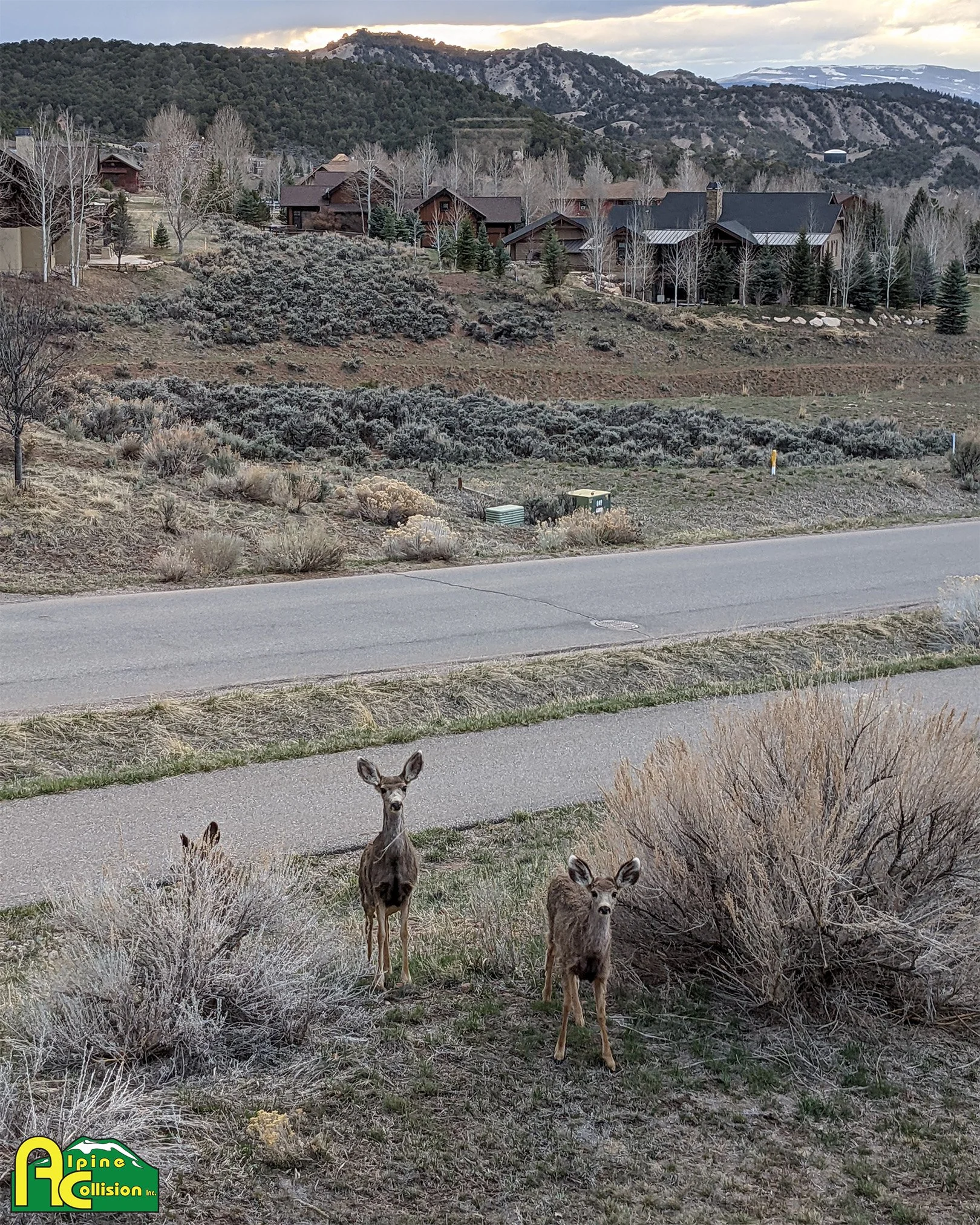 Fall is traditionally the season most responsible for collisions with large animals. As the weather conditions continue to change, please drive safer by driving slower.