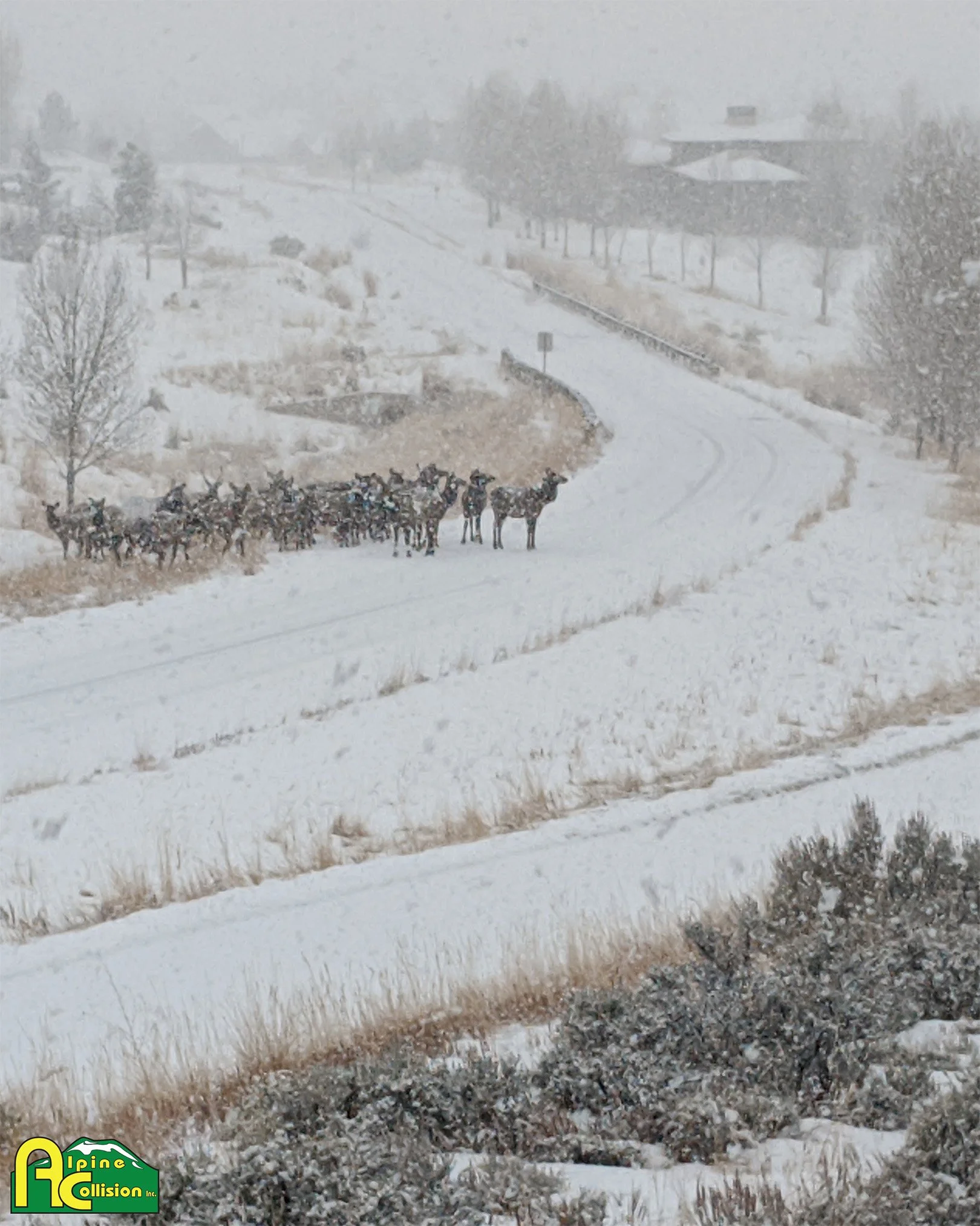 Heading out, maybe up to Vail or over to Glenwood? Watch for animals, ice, and sudden weather shifts. Drive safe, mountain friends!
